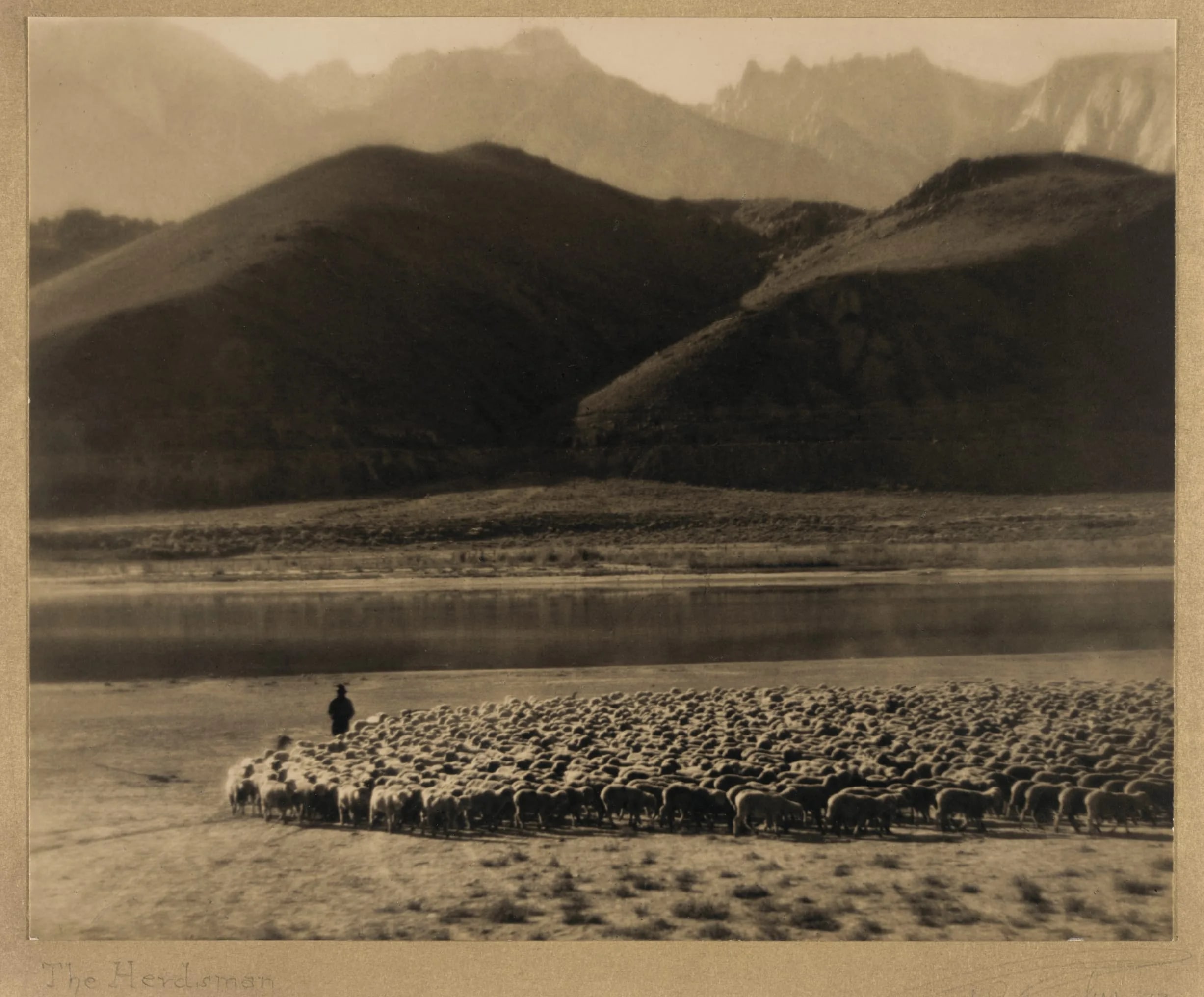 The Herdsman
