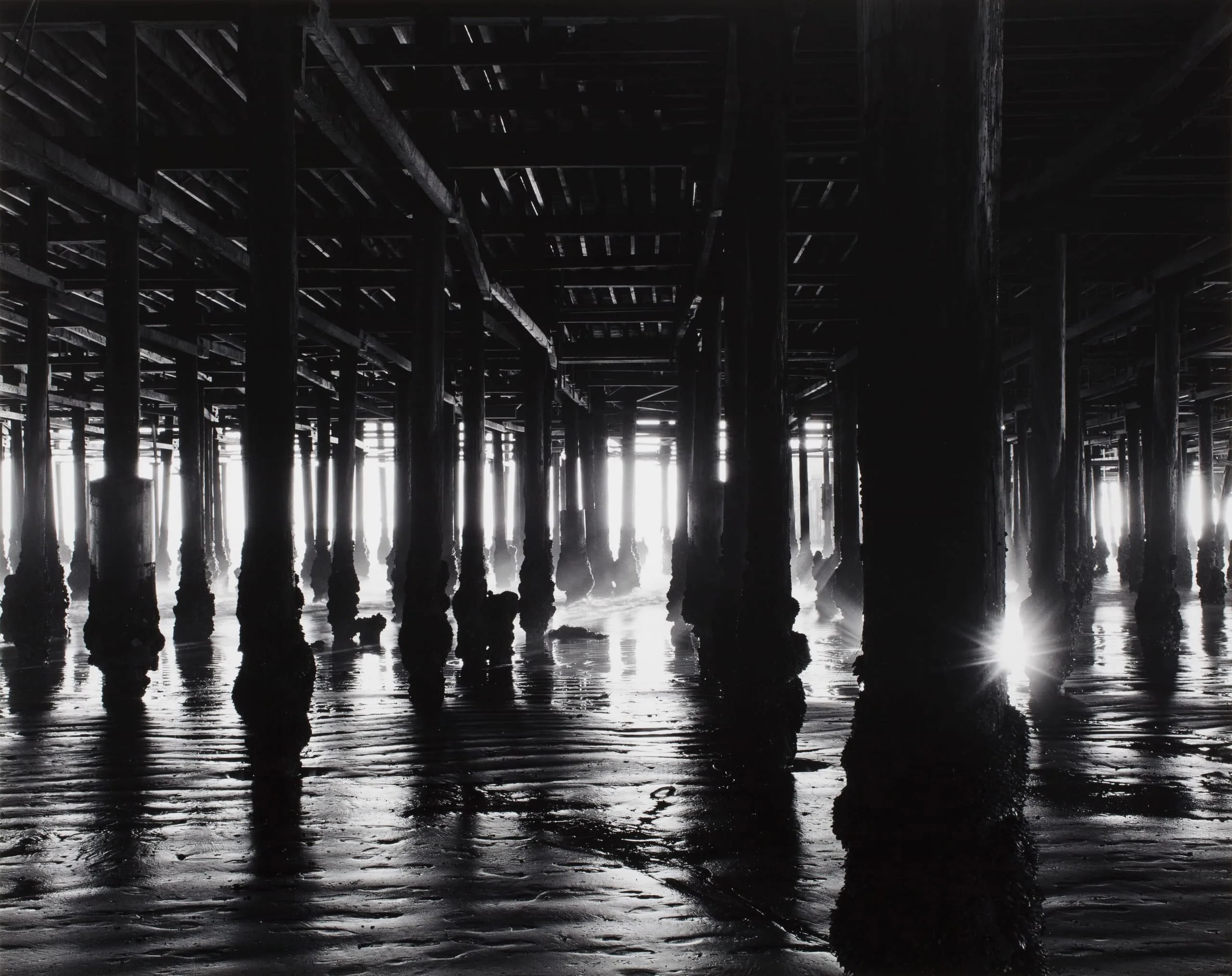 Beneath Santa Monica Pier