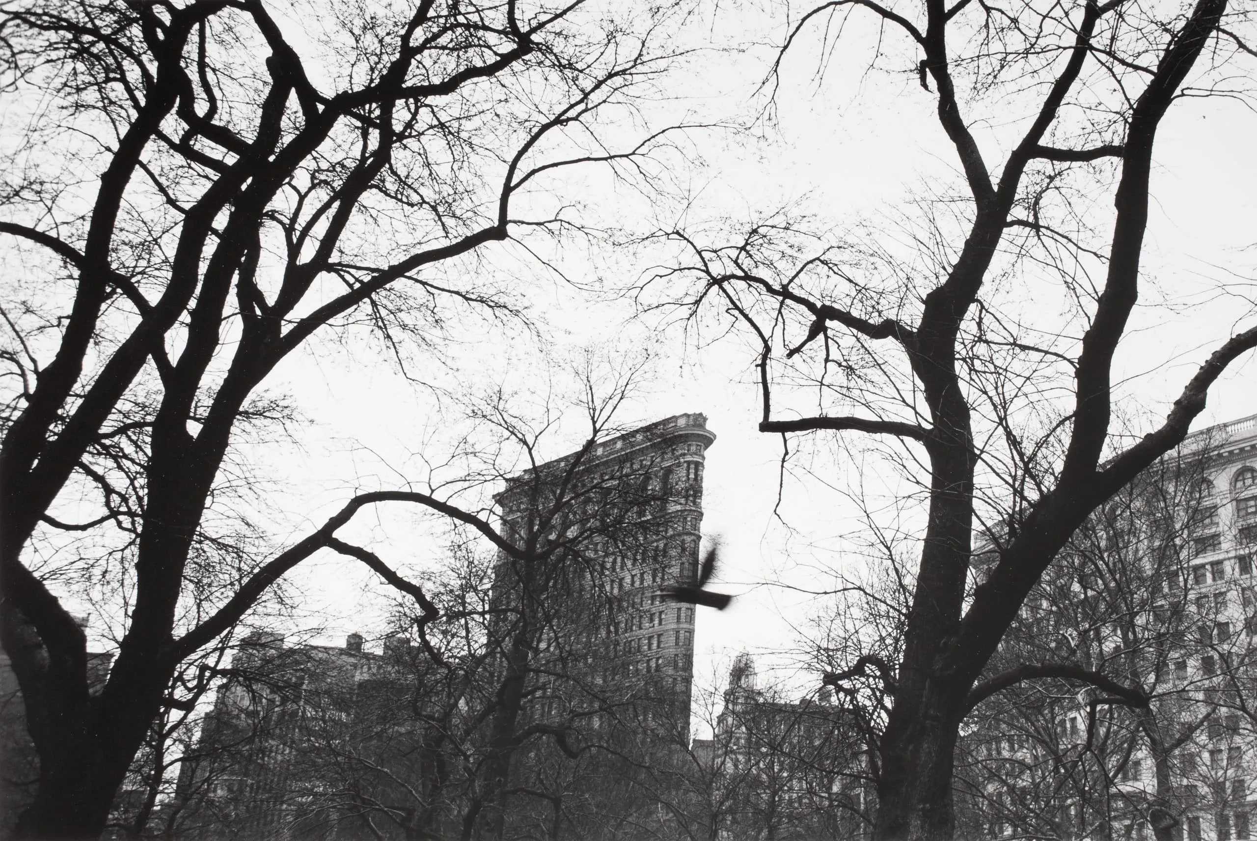 Flatiron Building With Bird, 1975