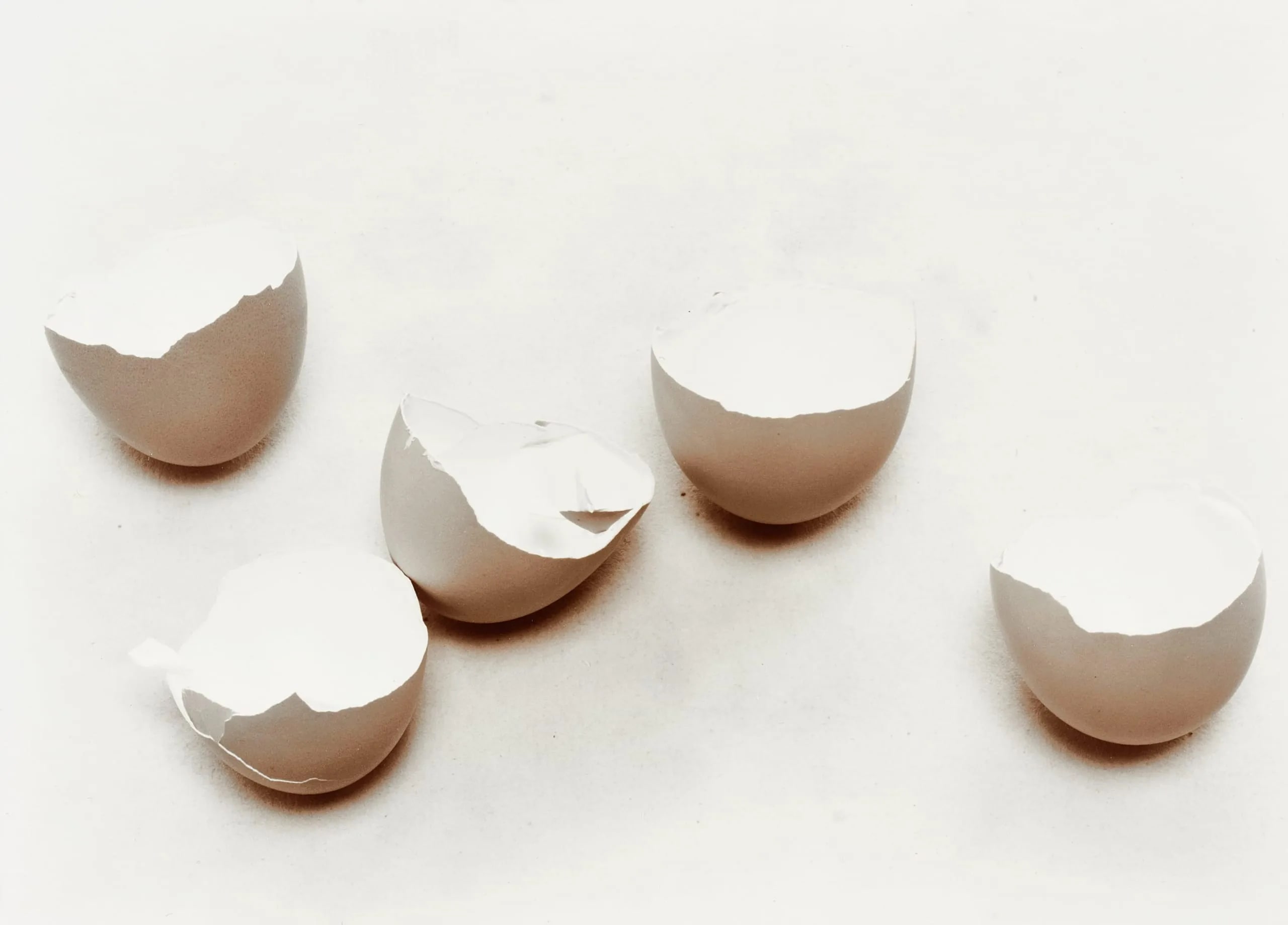 Eggshells