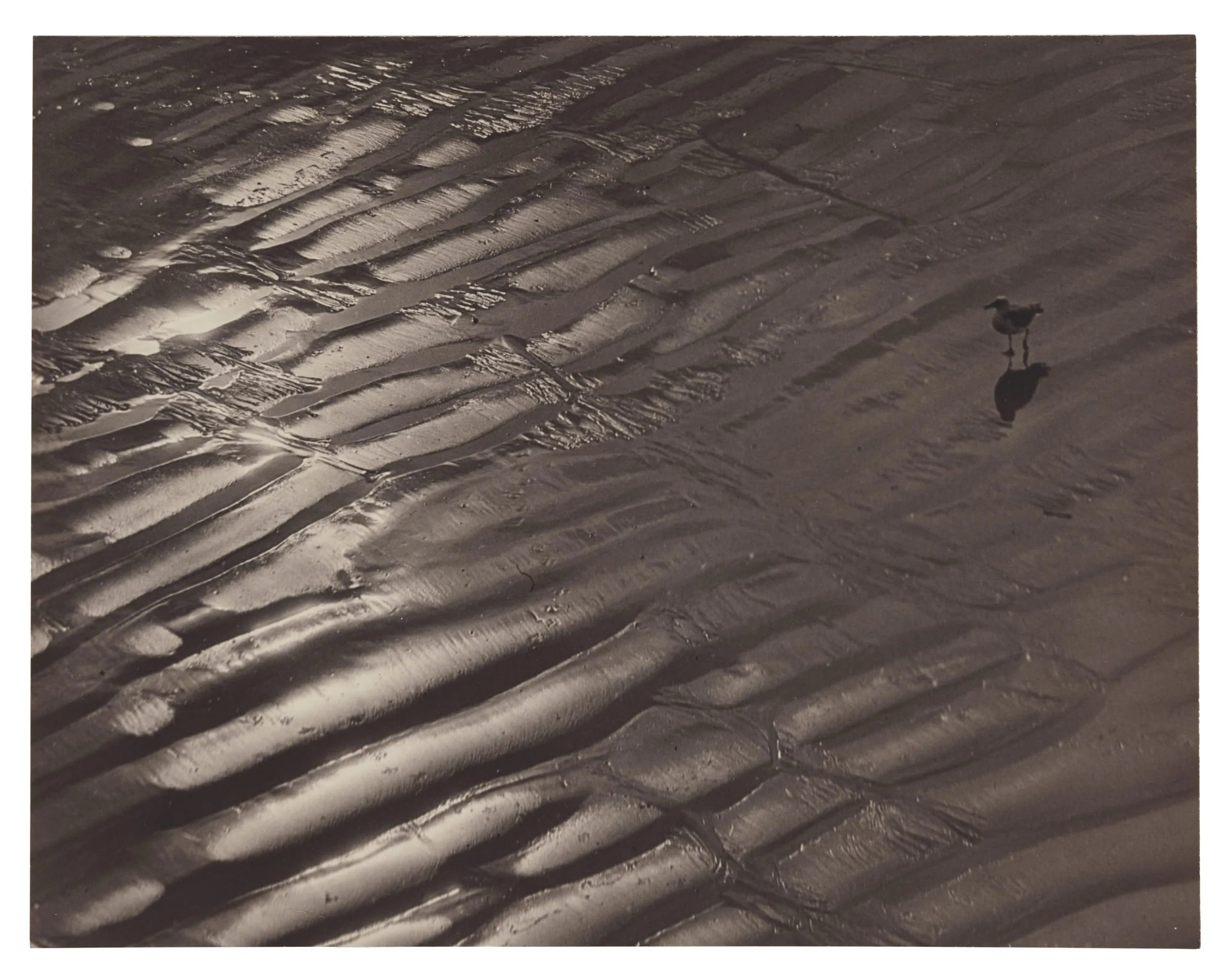 Ebb Tide