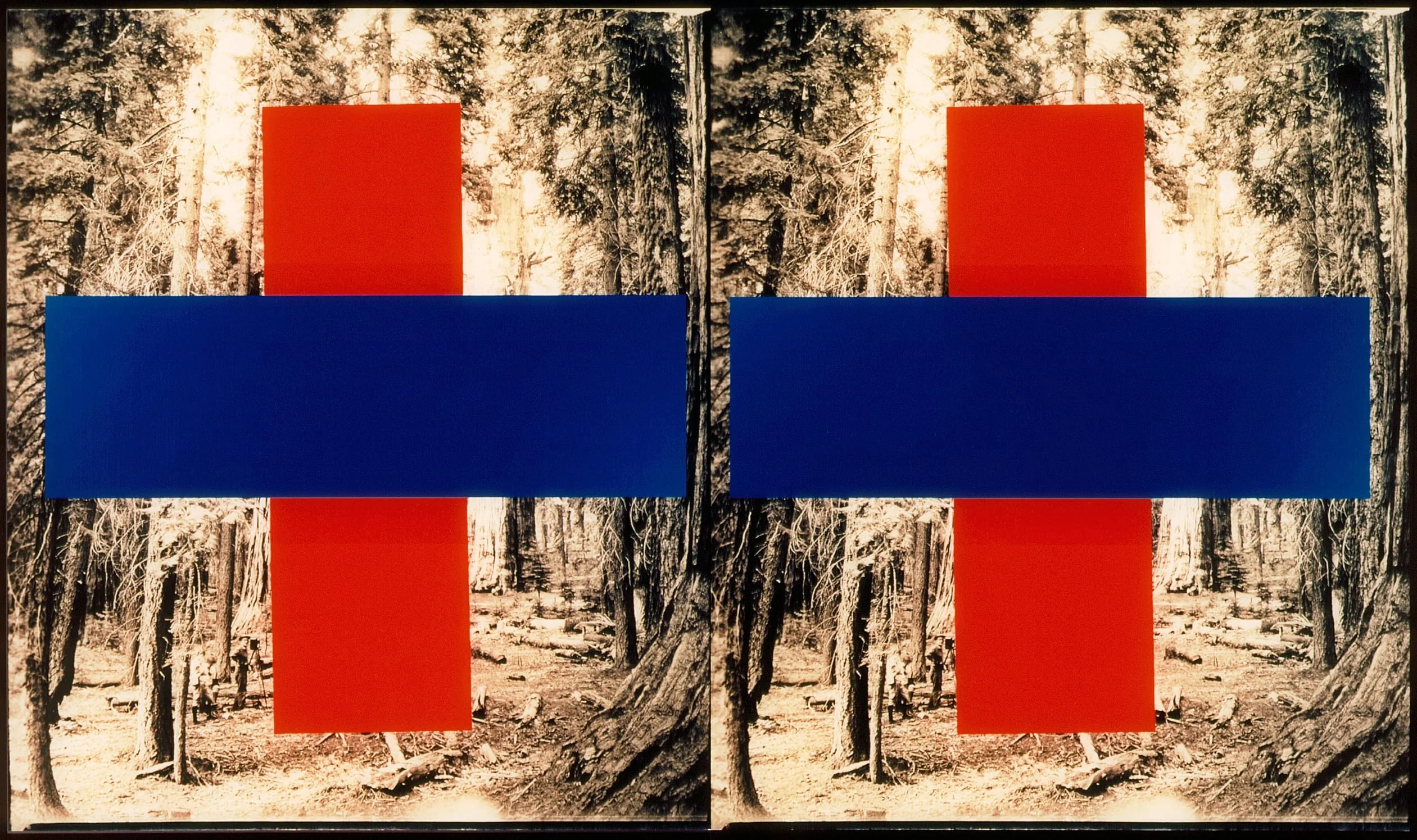 Malevich in America