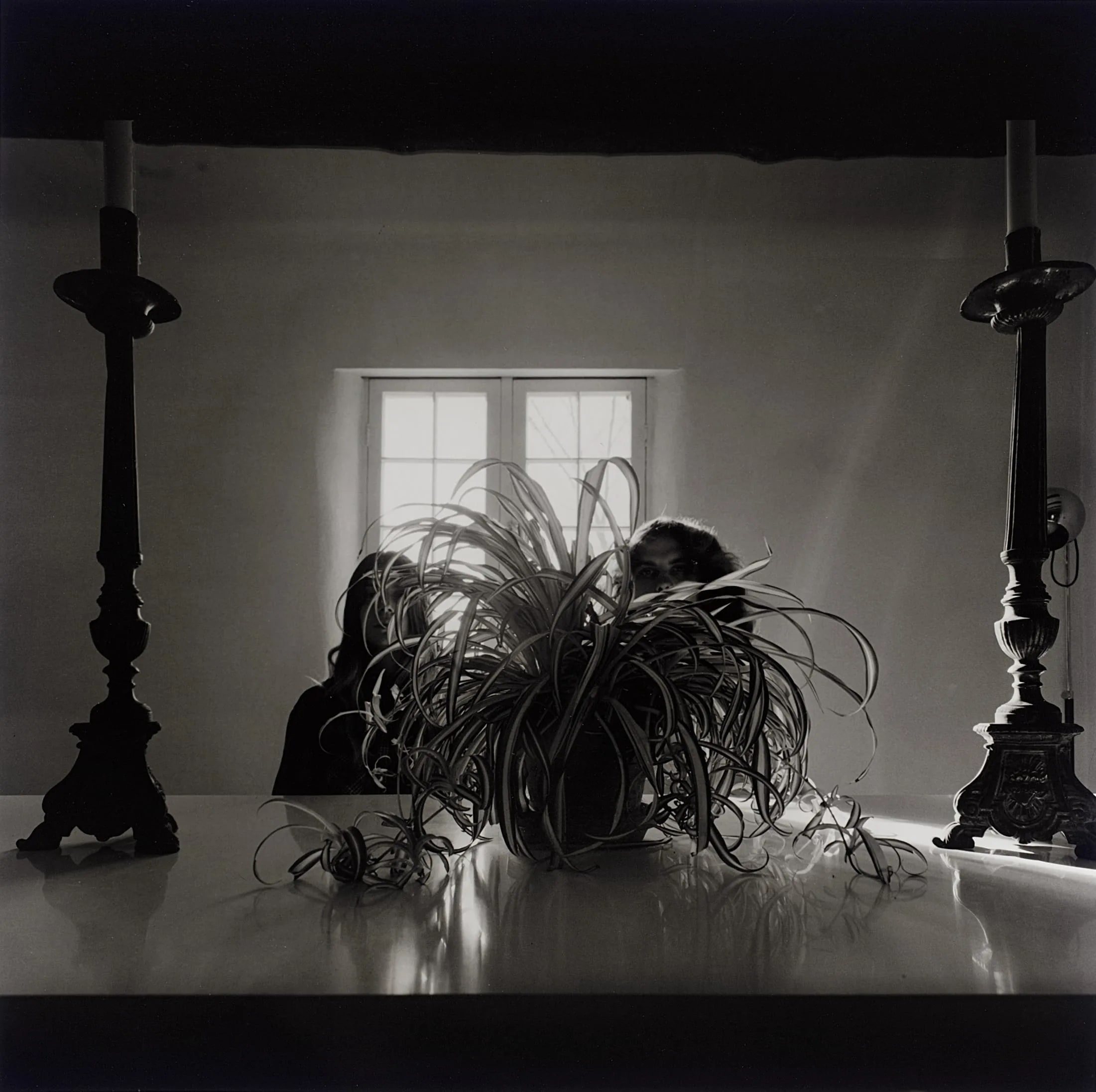 Friends, Light, and Plant