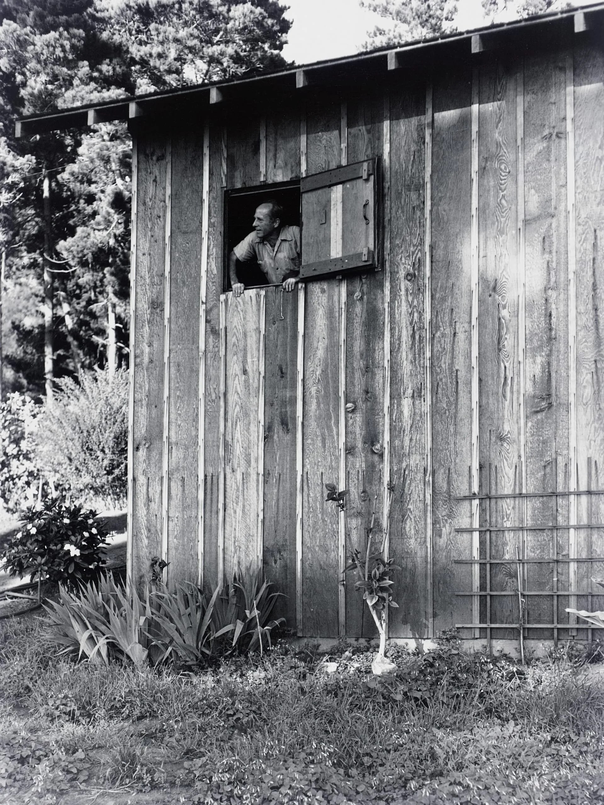 Edward Weston