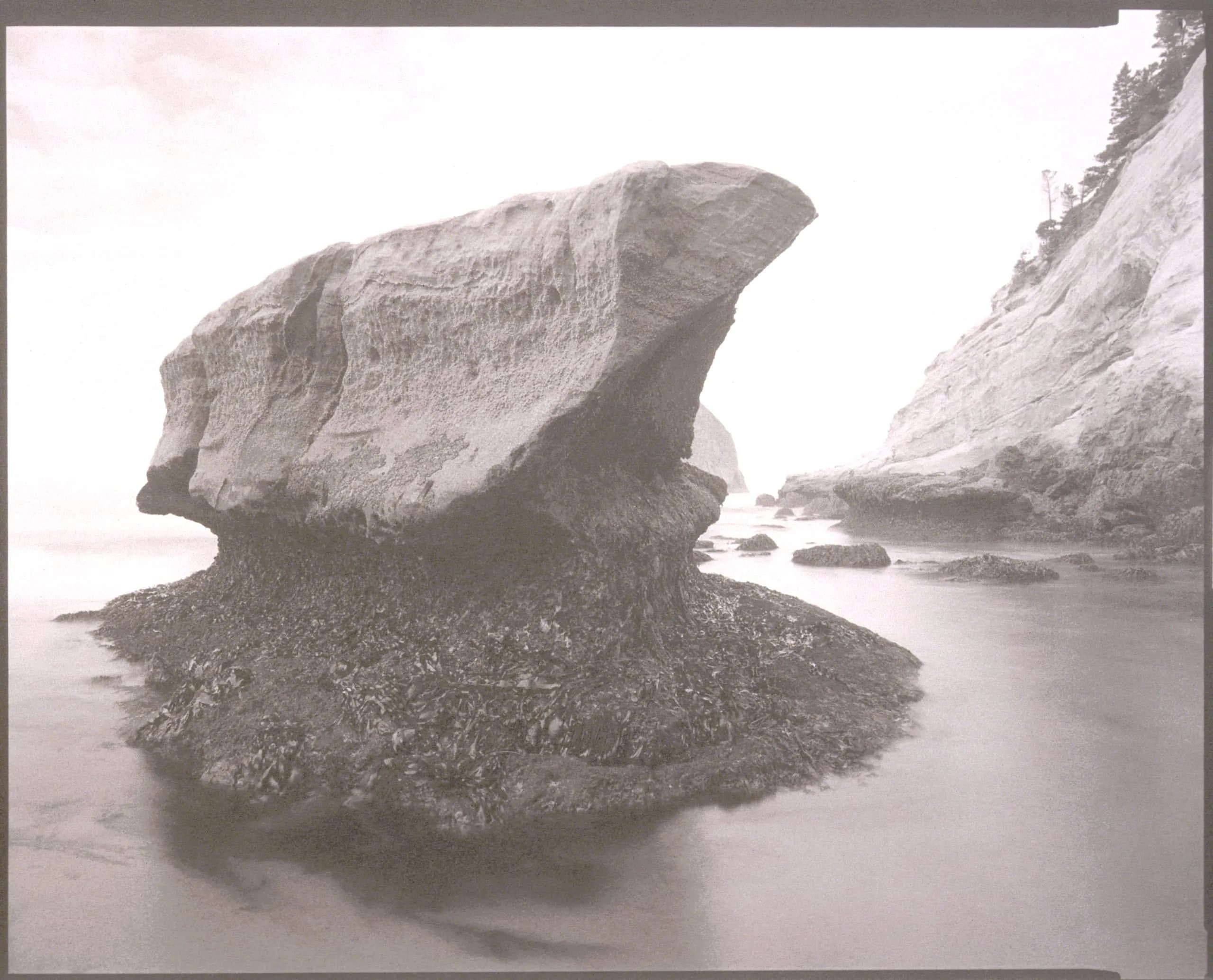 Ocean Monolith, Pacific City, Oregon