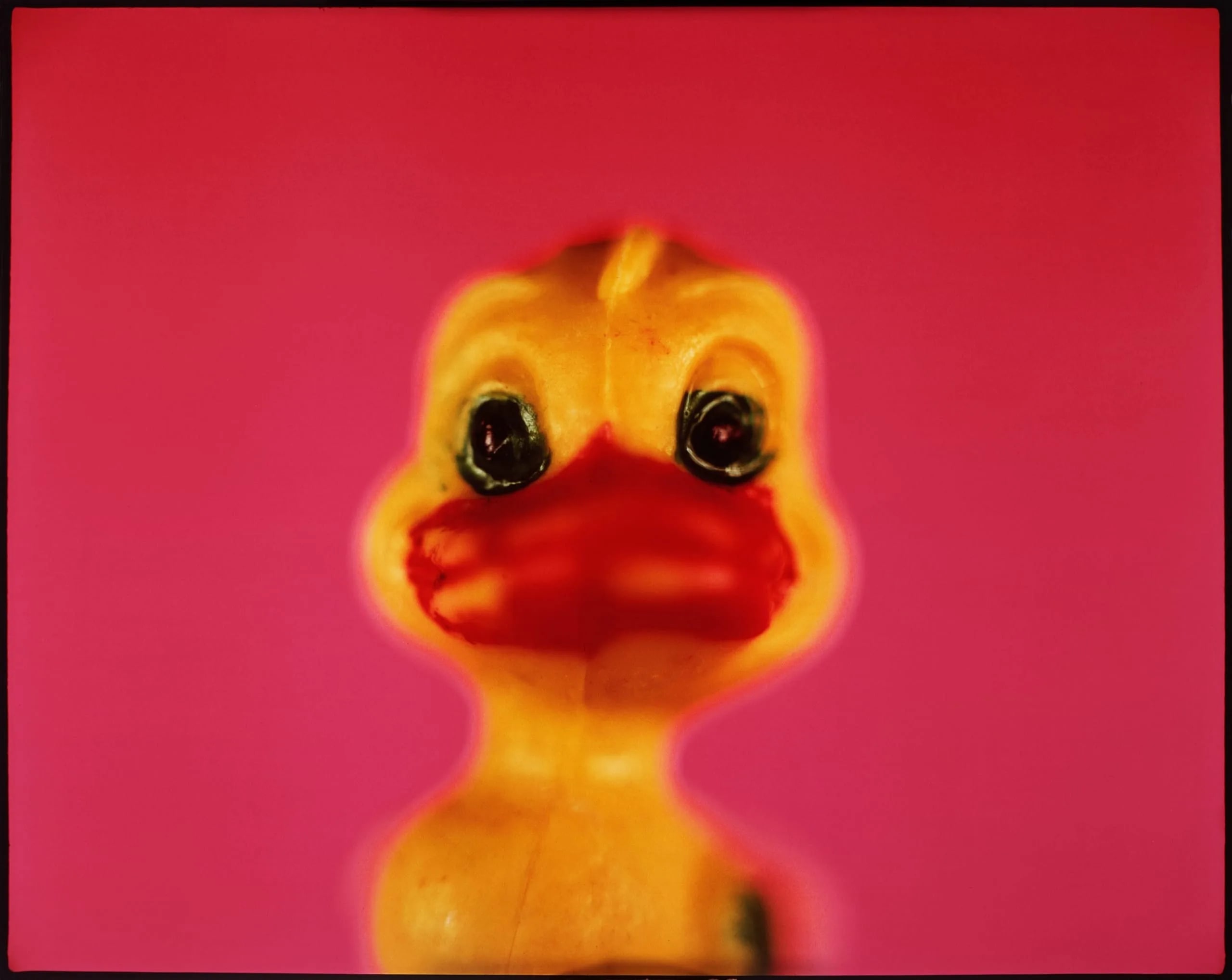 Psychotic Duck