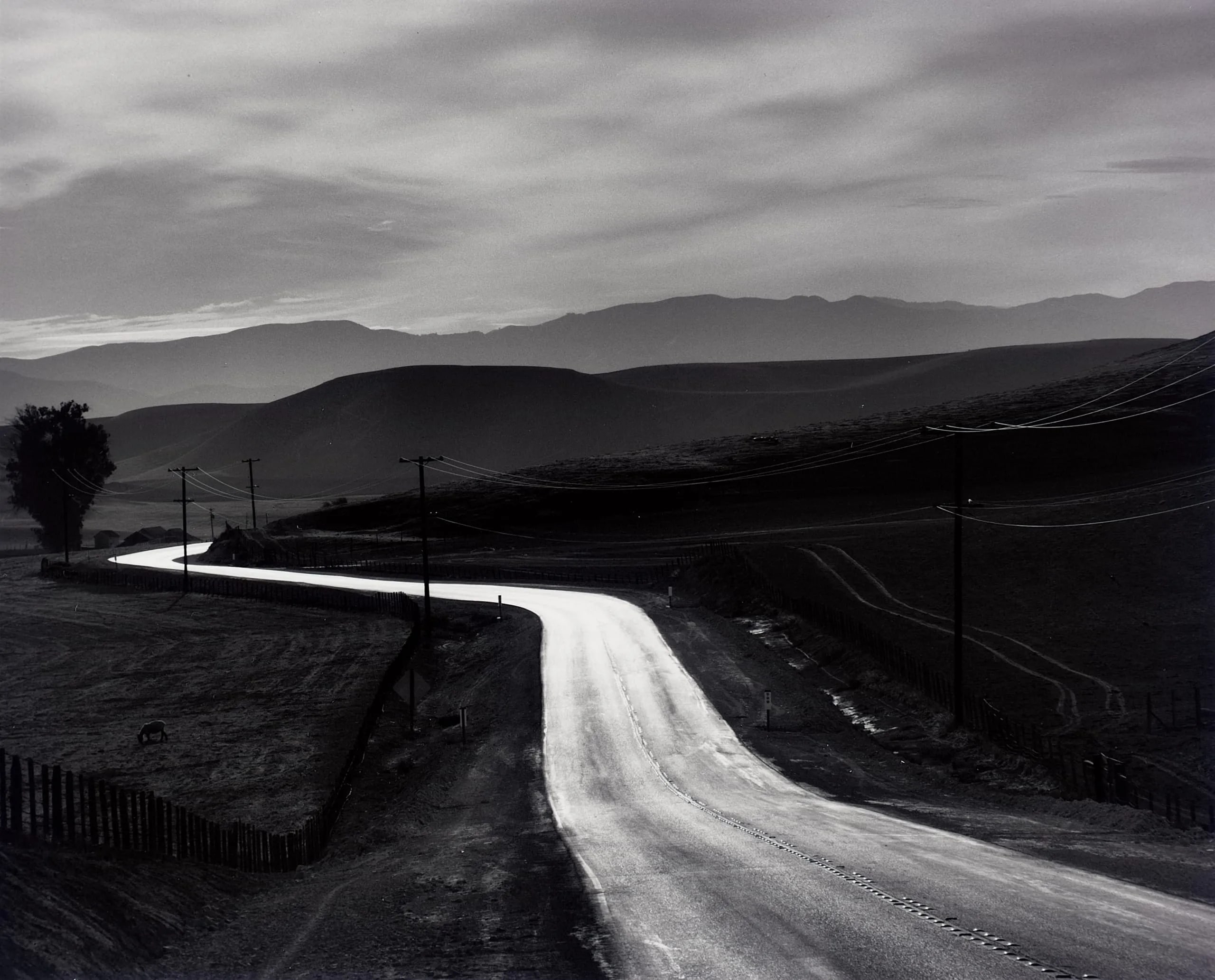 Road to Coalinga