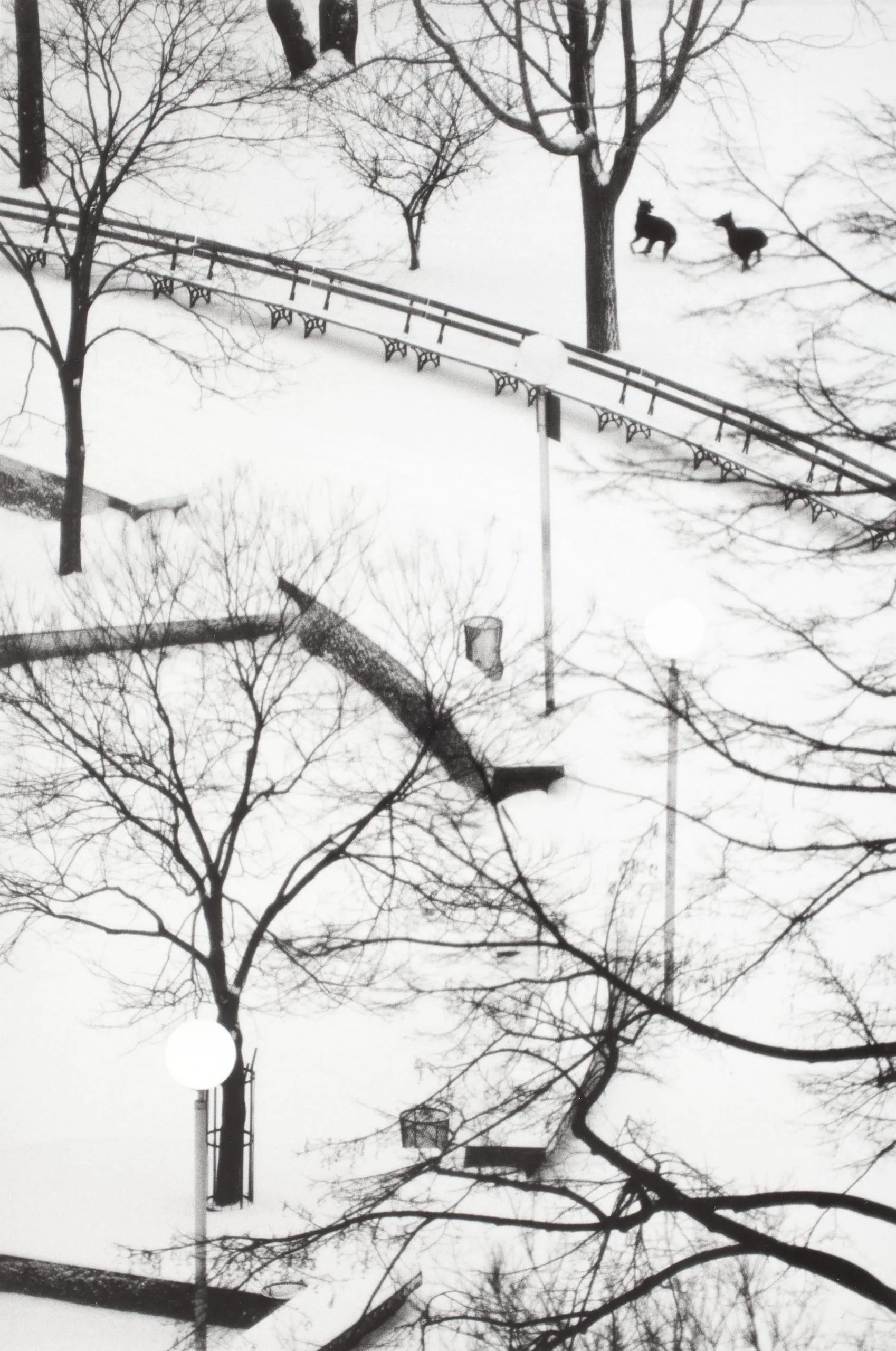 Homage To Kertész, 1976