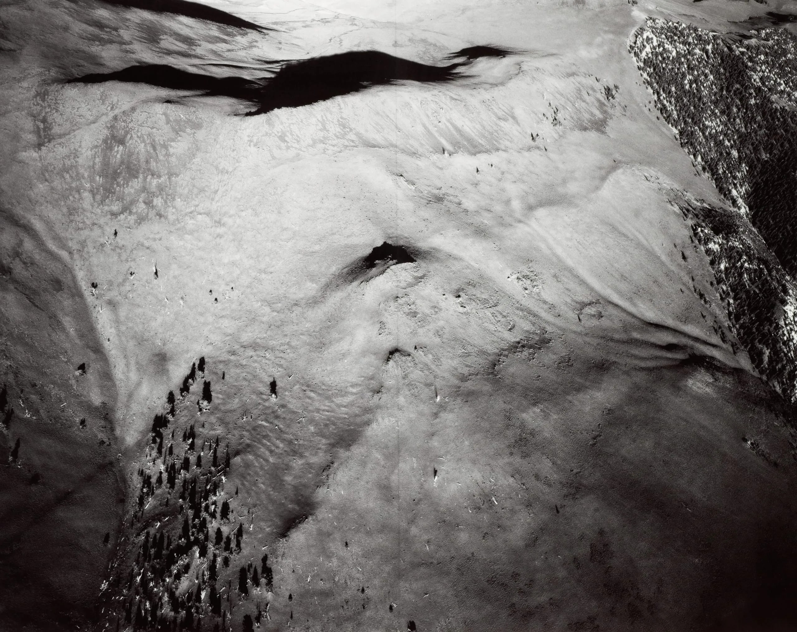 Bristlecone Pines at 1000', 1830 hours, White Mountains, California (June 2001)