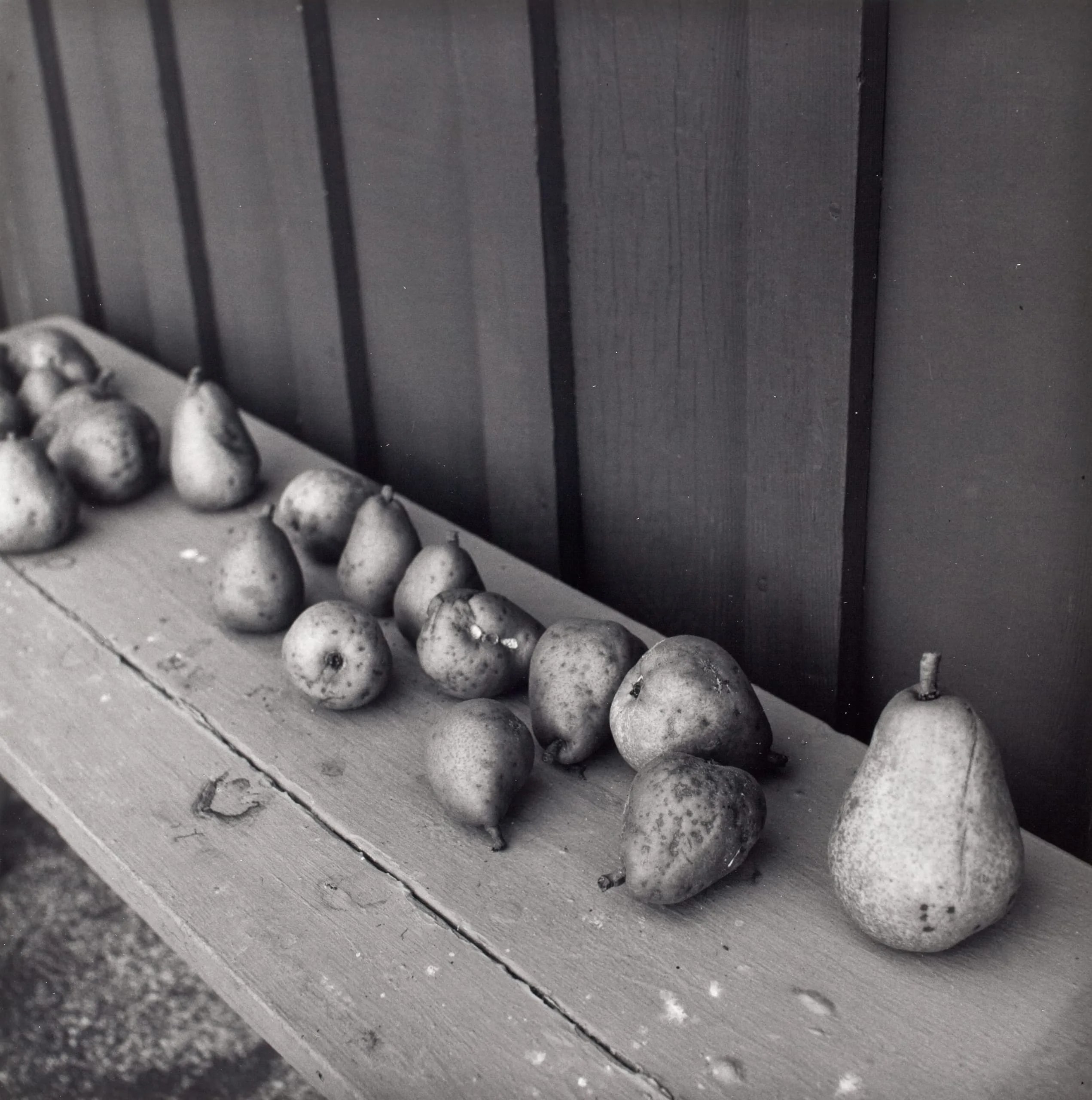 Pears, Arcata, Ca