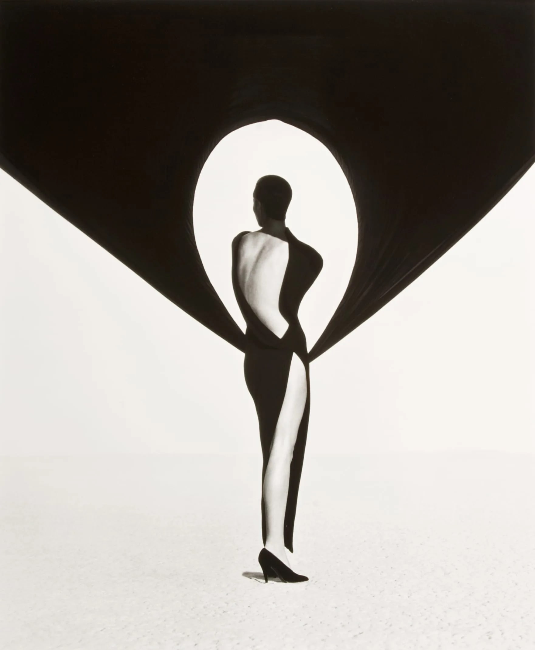 Versace Dress, (Back View), El Mirage
