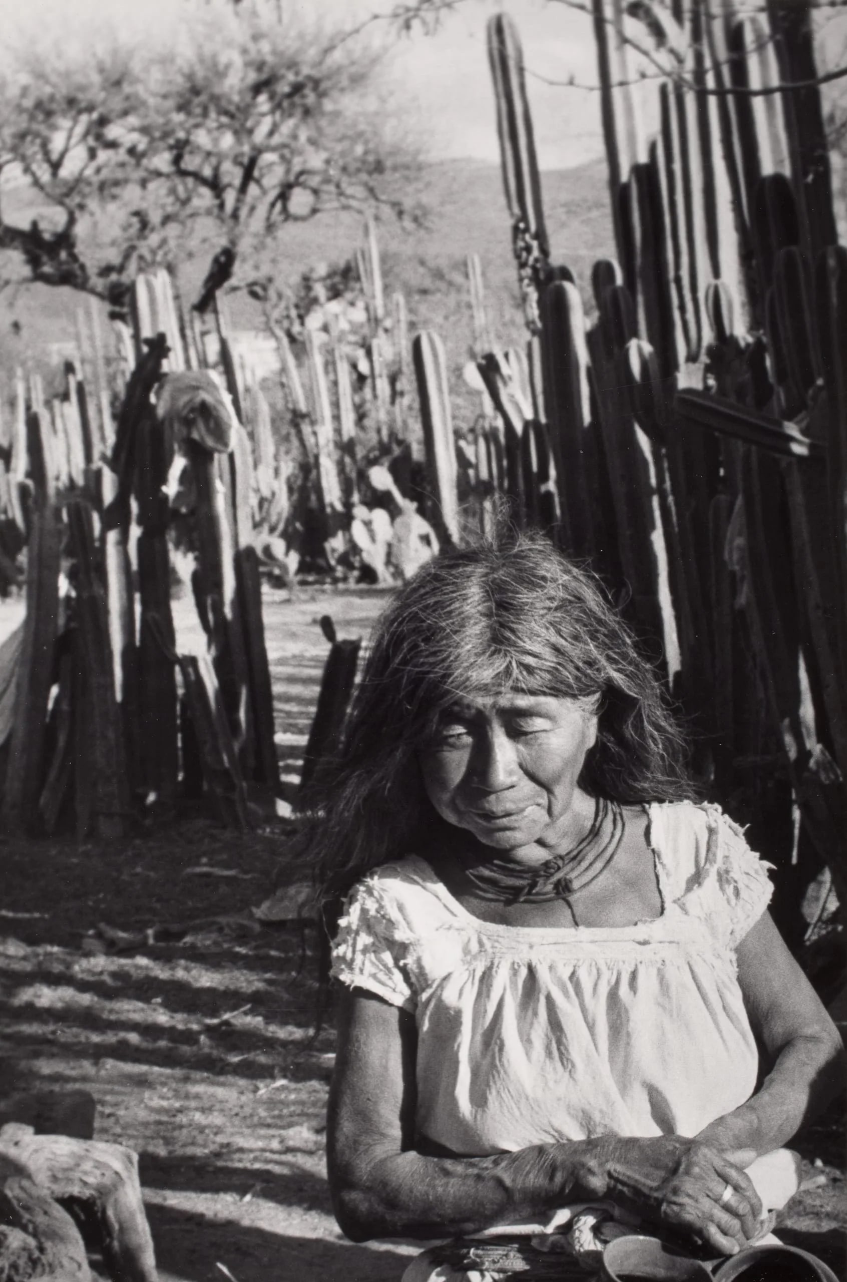 Hidalgo (Old Woman/Cacti)