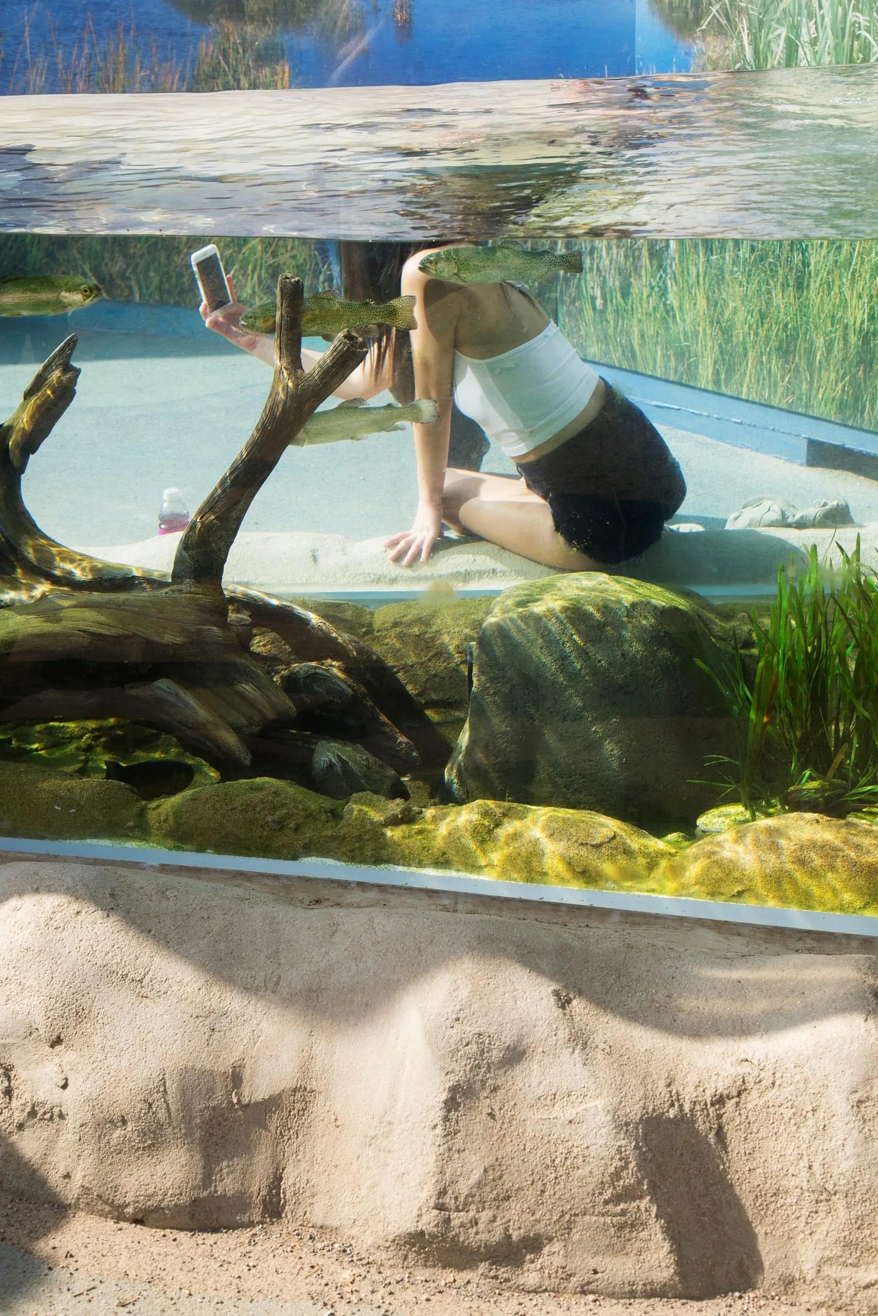 Aquarium