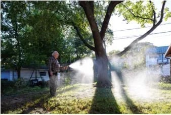 I try to remember to water the lawn daily after having it seeded. As a kid, I had to help my dad with the yard work. The yard was five acres. One time he cut down some of the woods, and I had to drag all the branches through a field and up a hill.