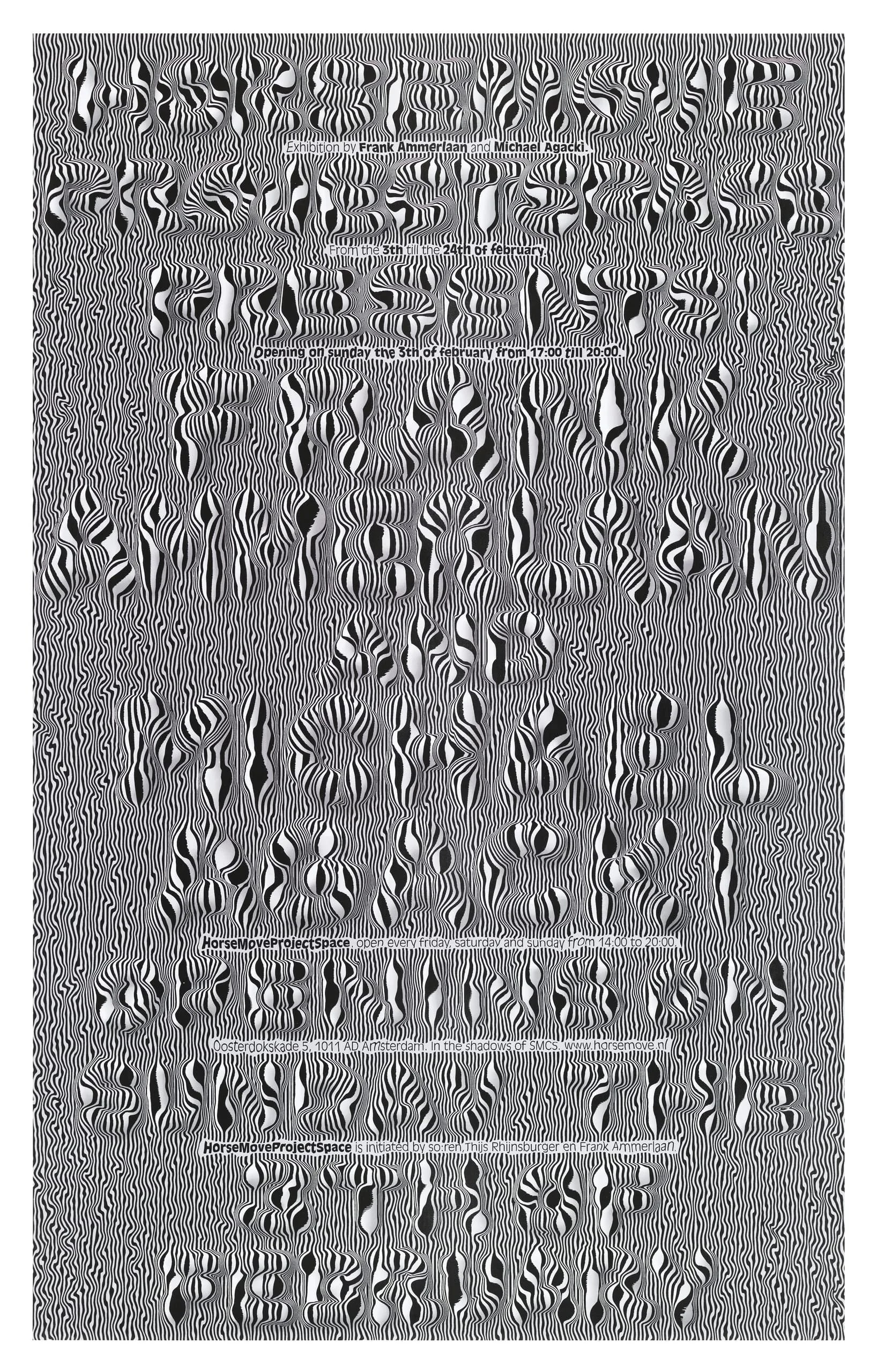 Horsemove Project Space Presents: Frank Ammerlaan and Michael Agacki
