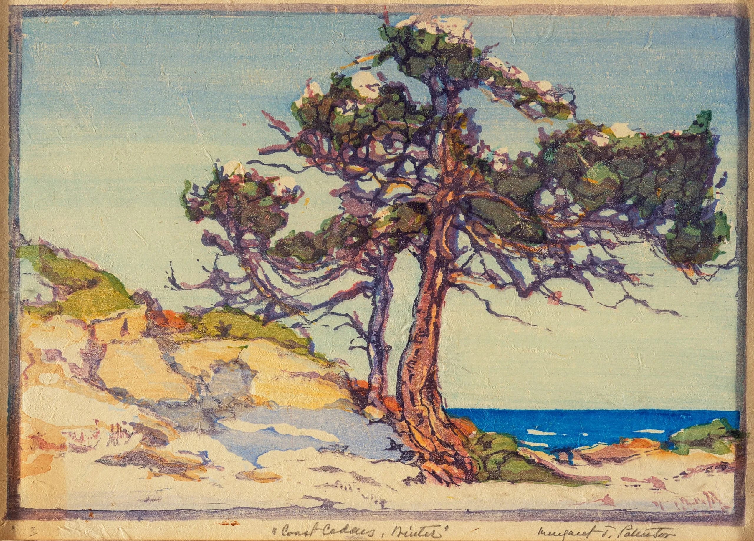 Coast Cedars, Winter