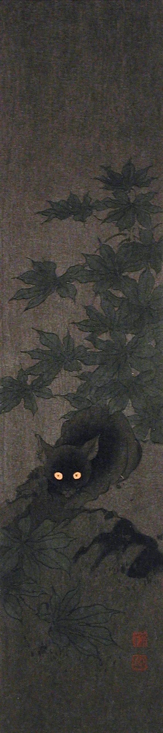 Black Cat