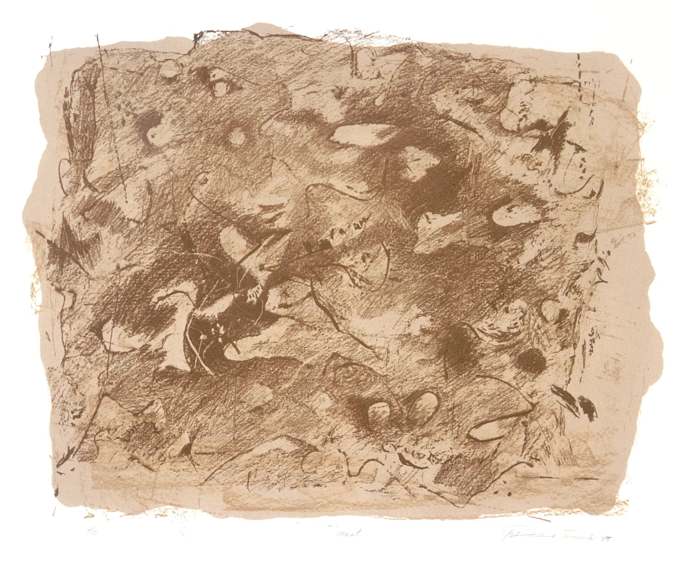 Nest