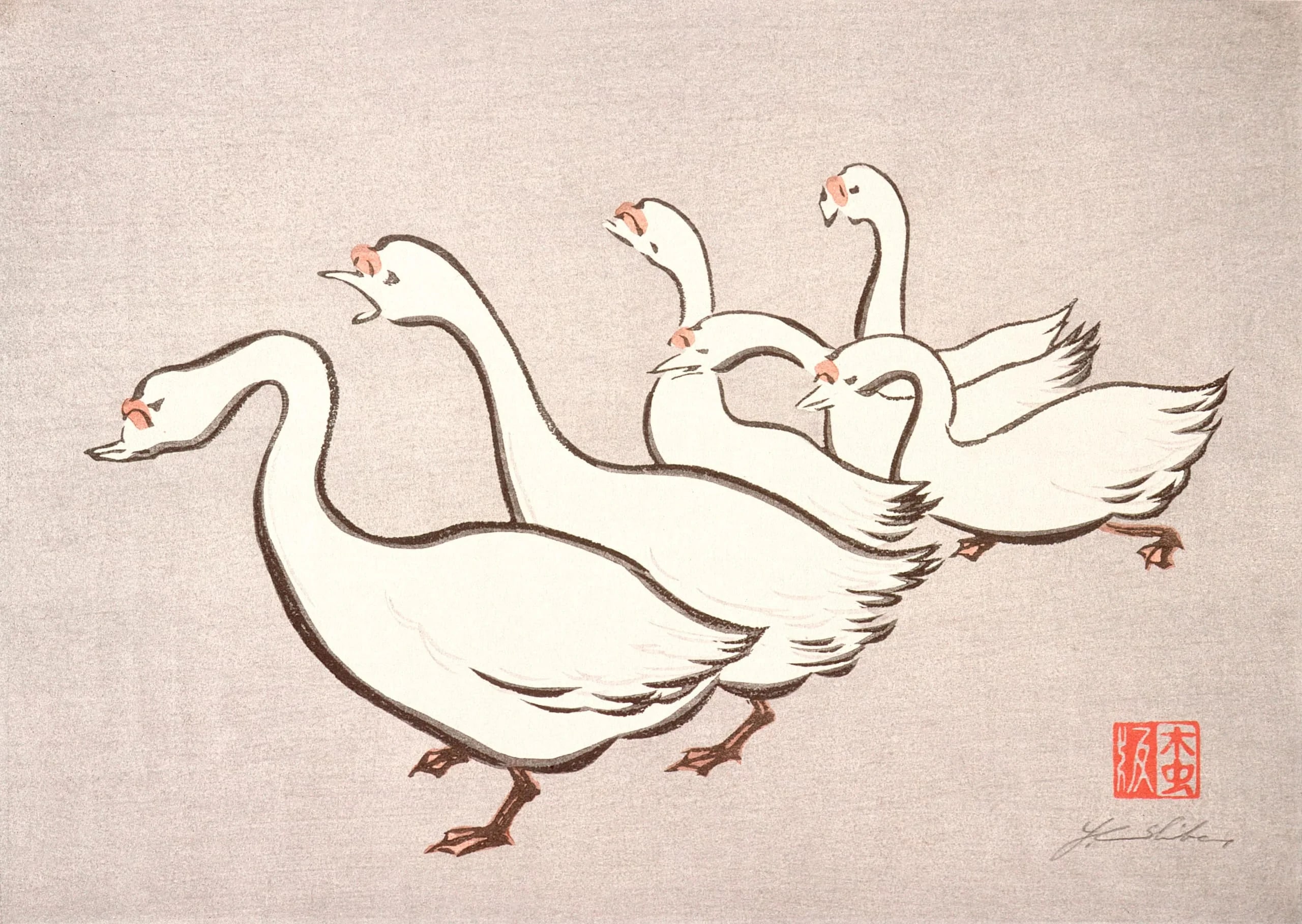 Geese