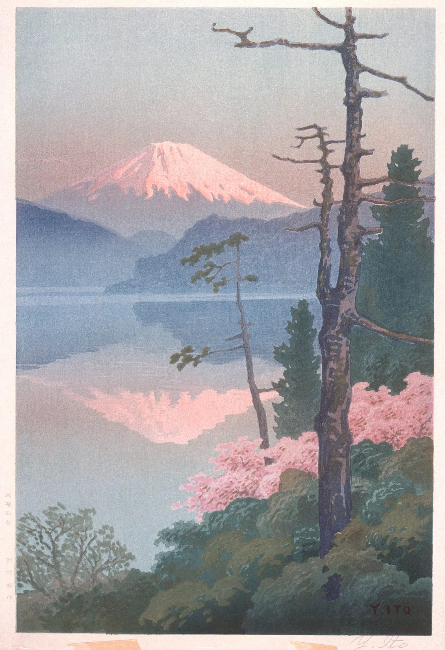Mount Fuji from Taganoura