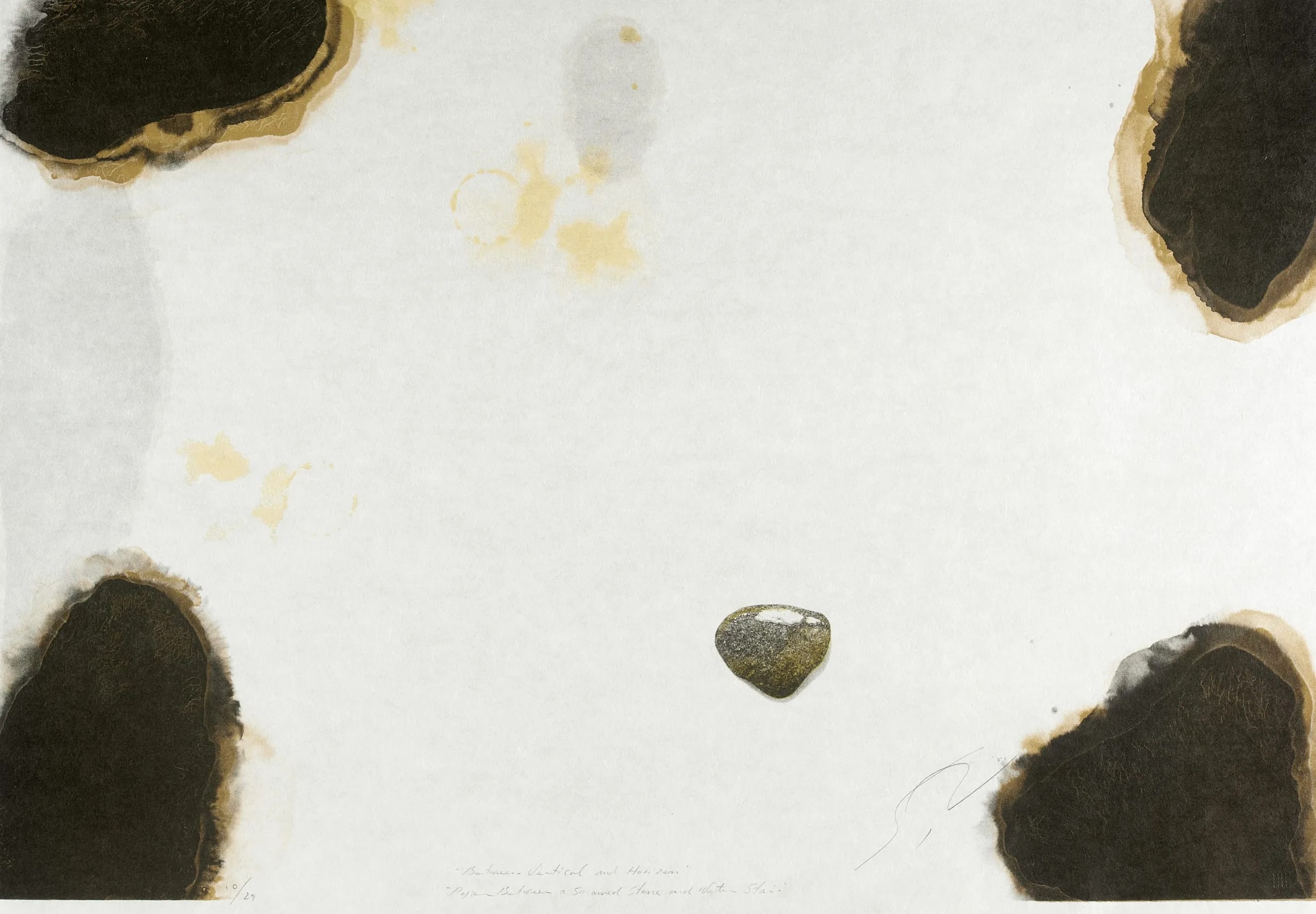 Paper between a Leaf and Water Stain