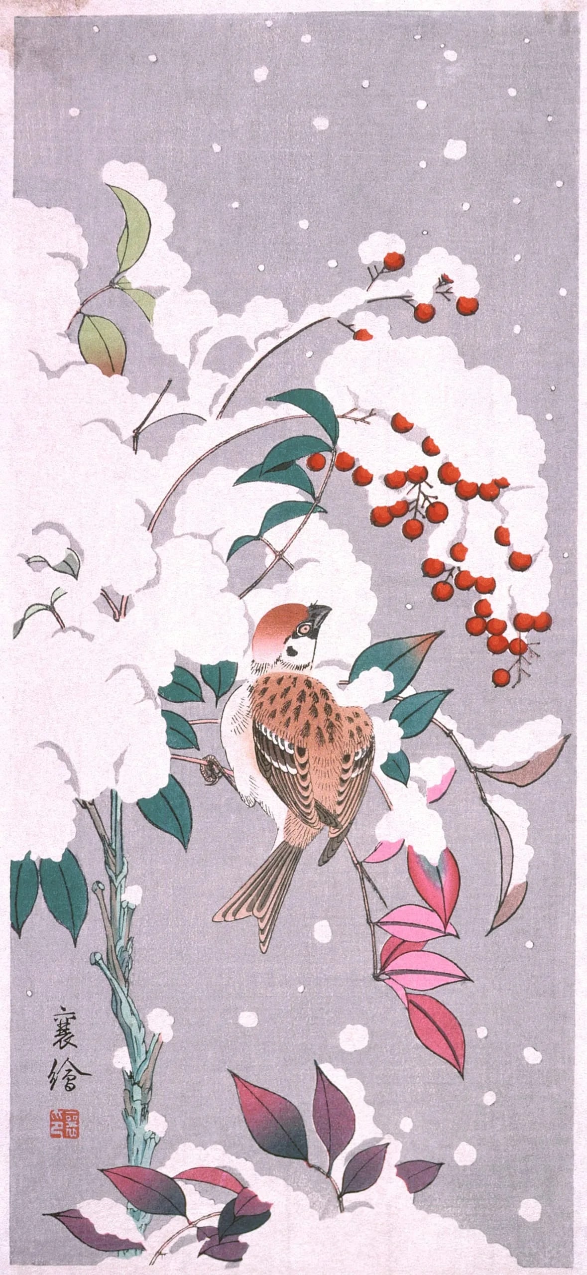 Sparrow and Nandina in Snow