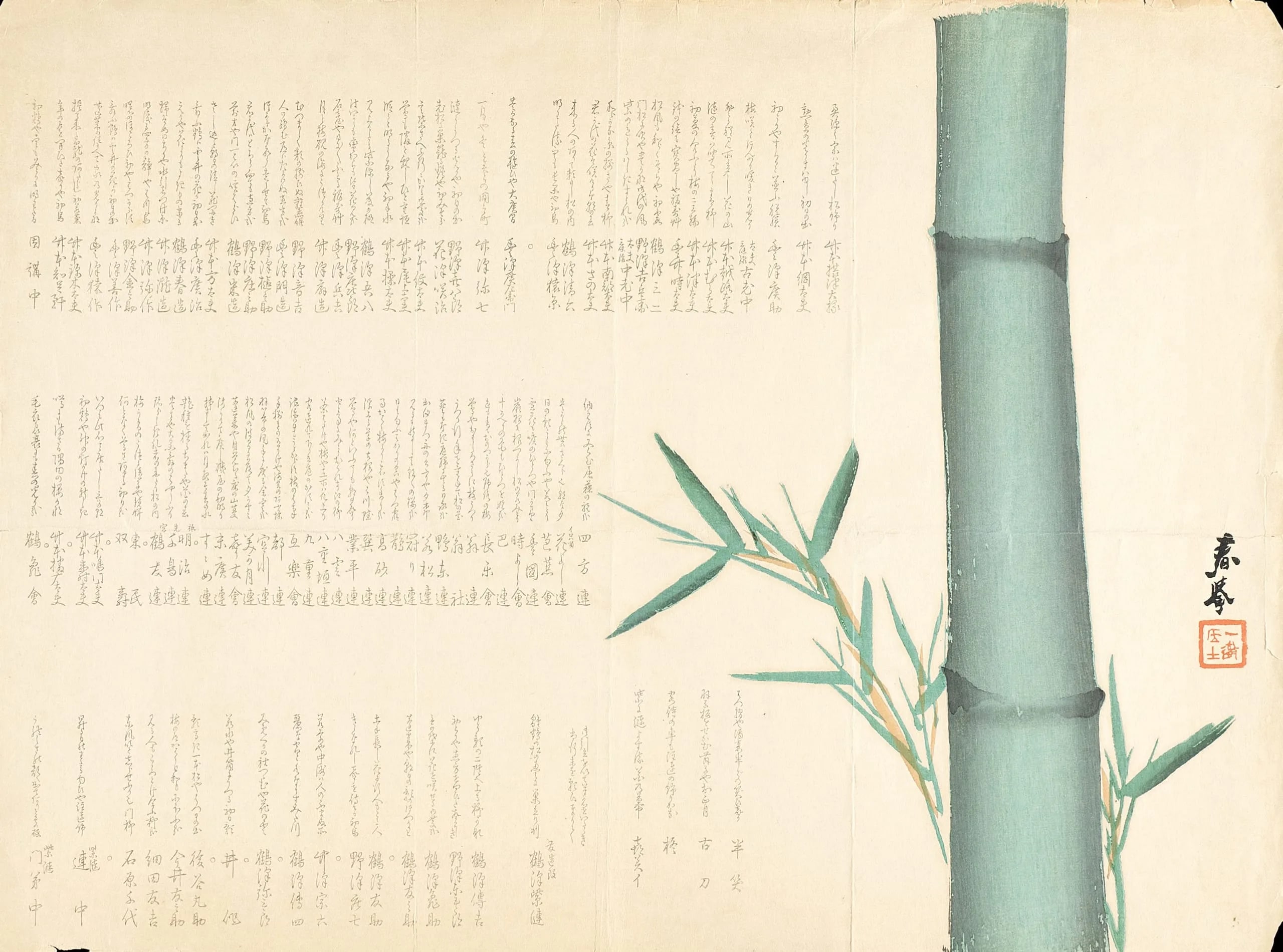 Bamboo