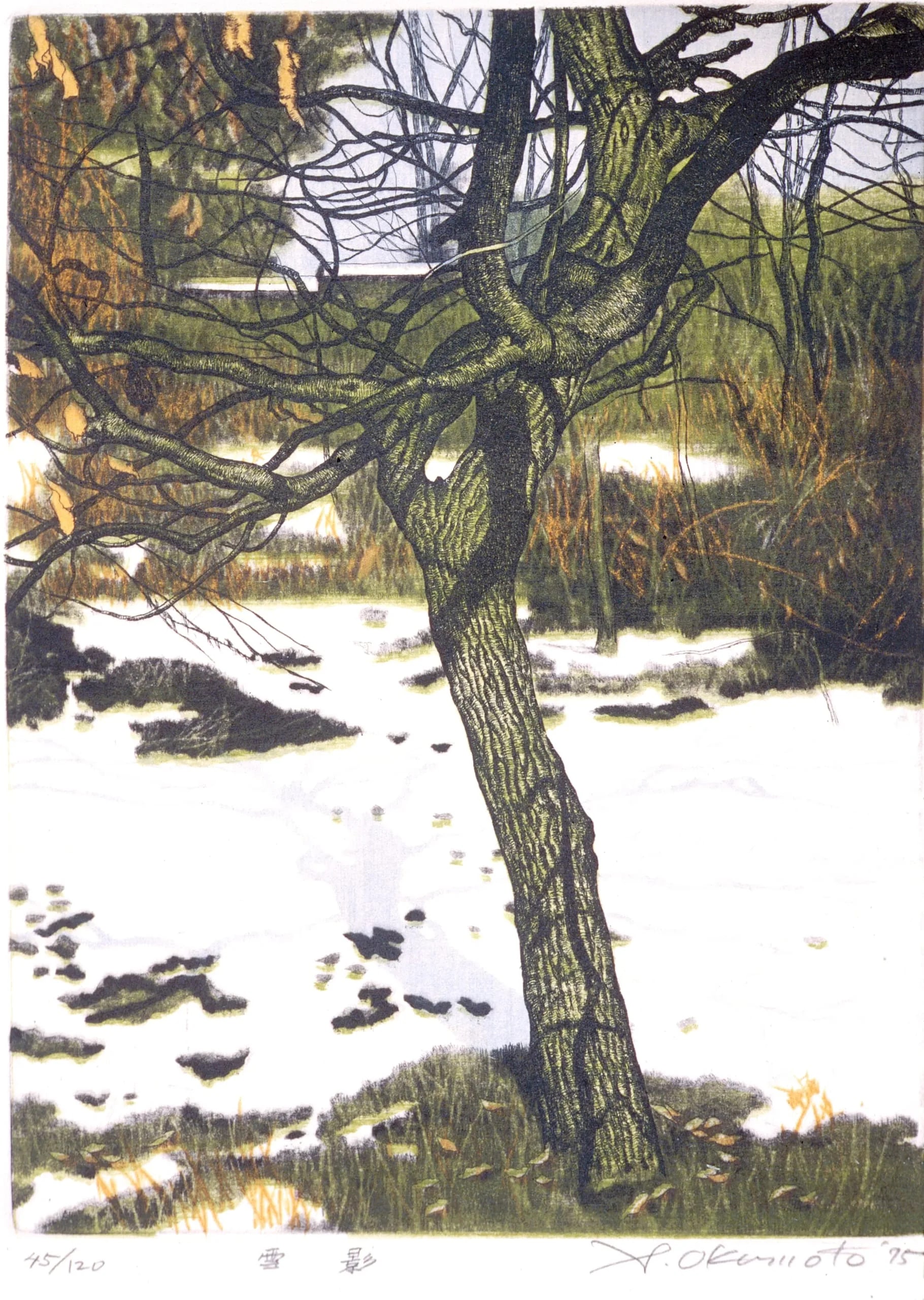 Shadow in the Snow