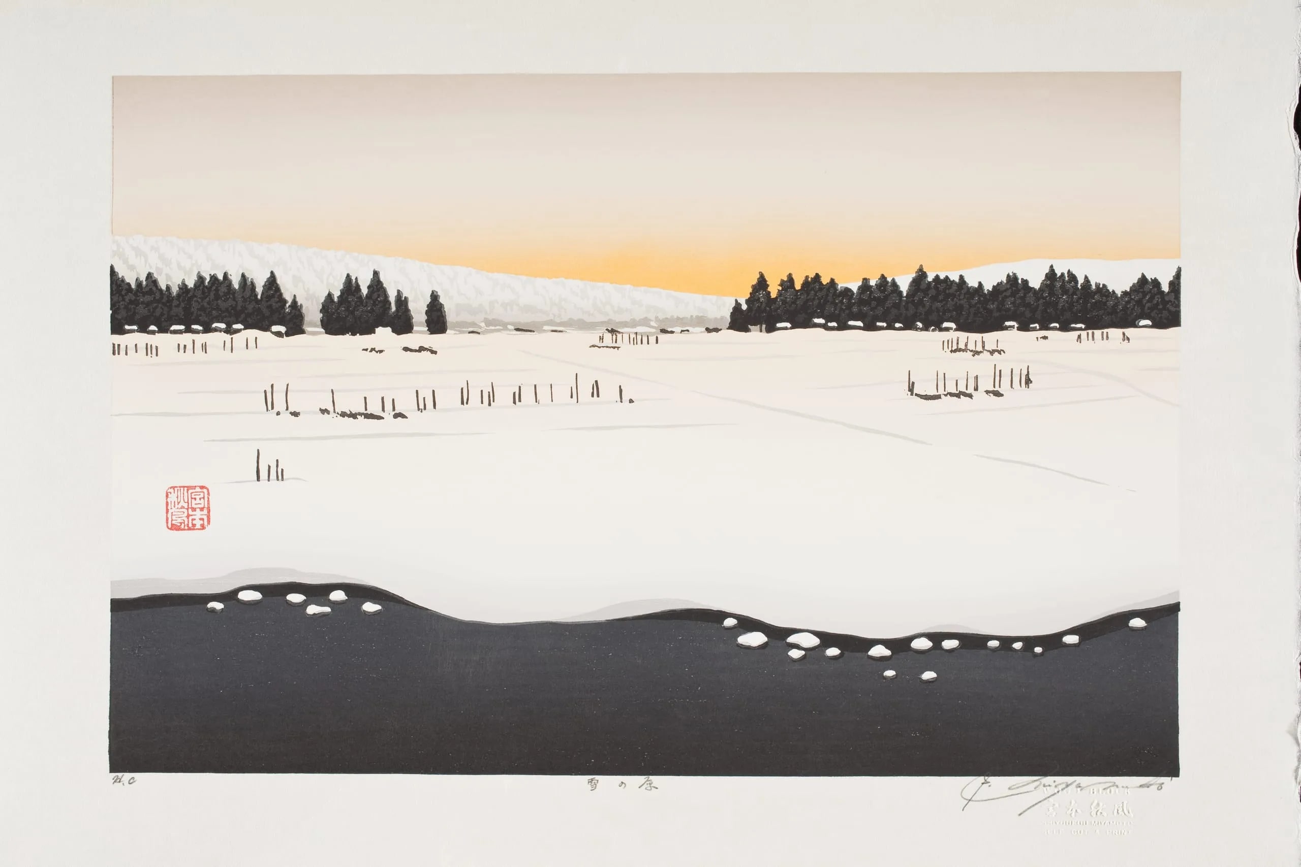 Snow Field