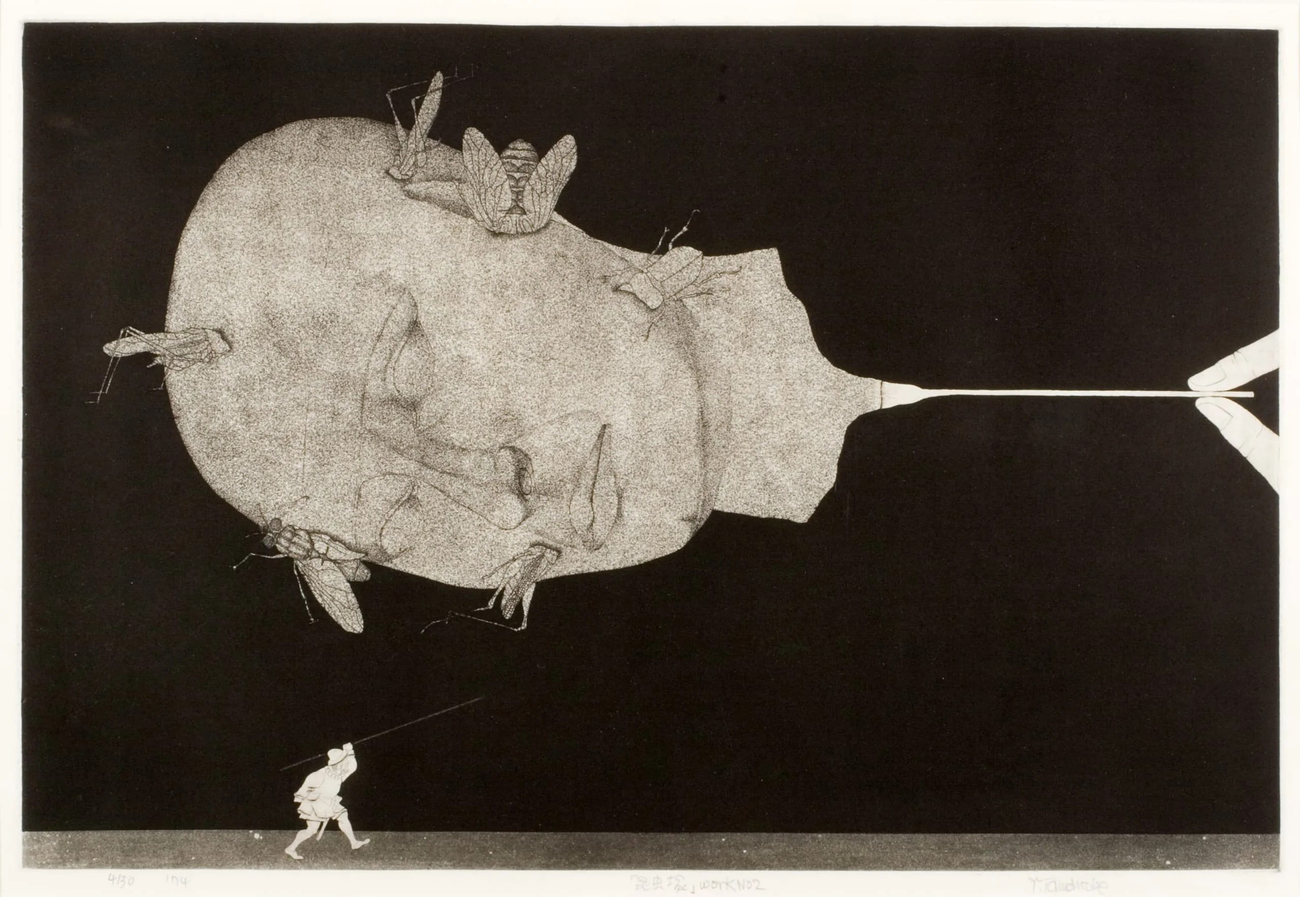 Insect Mound No. 2
