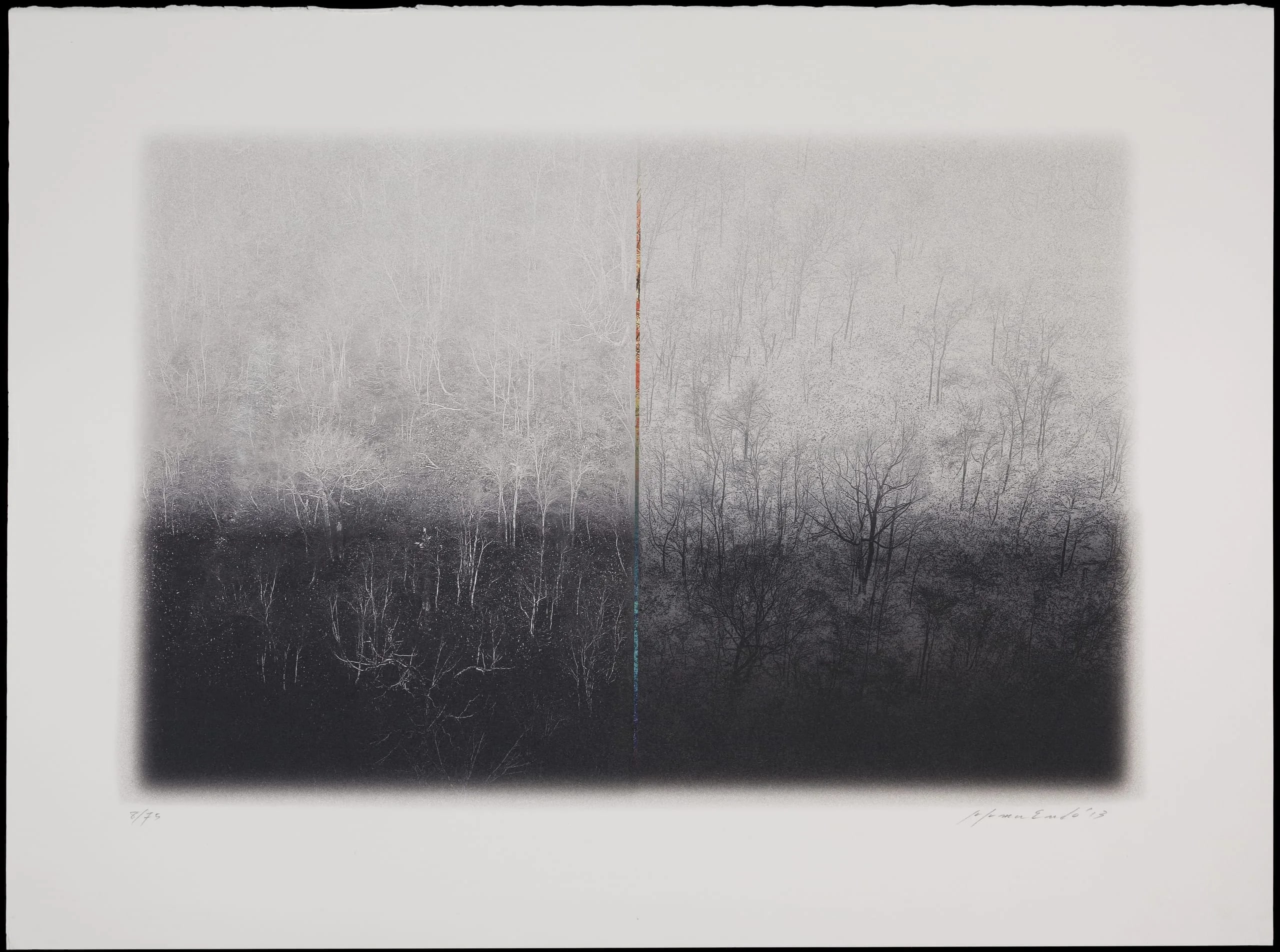 Space & Space / Nature - 1301
