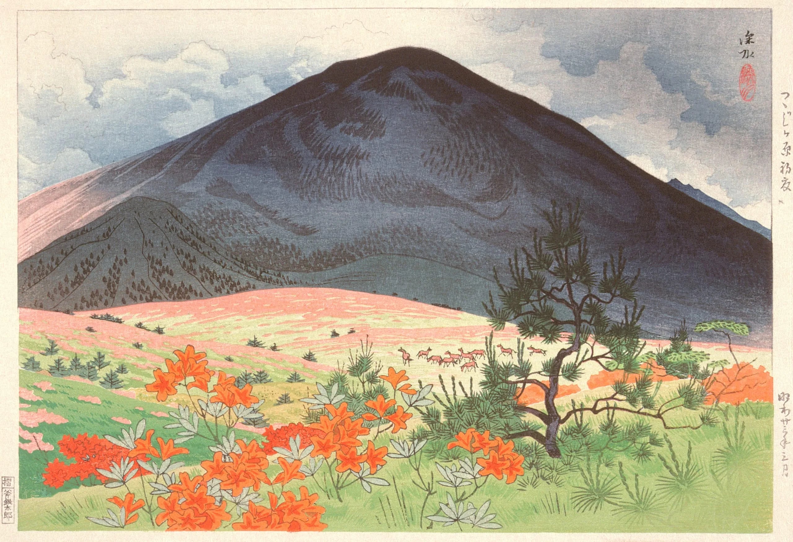 Field of Azalea in Early Summer