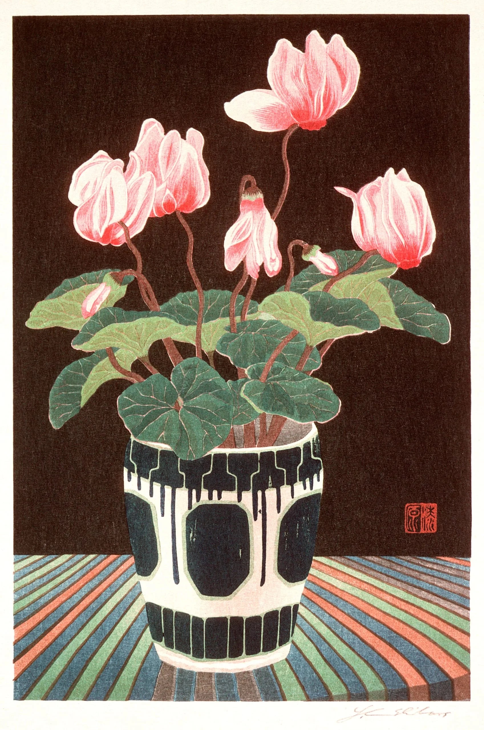 Cyclamen