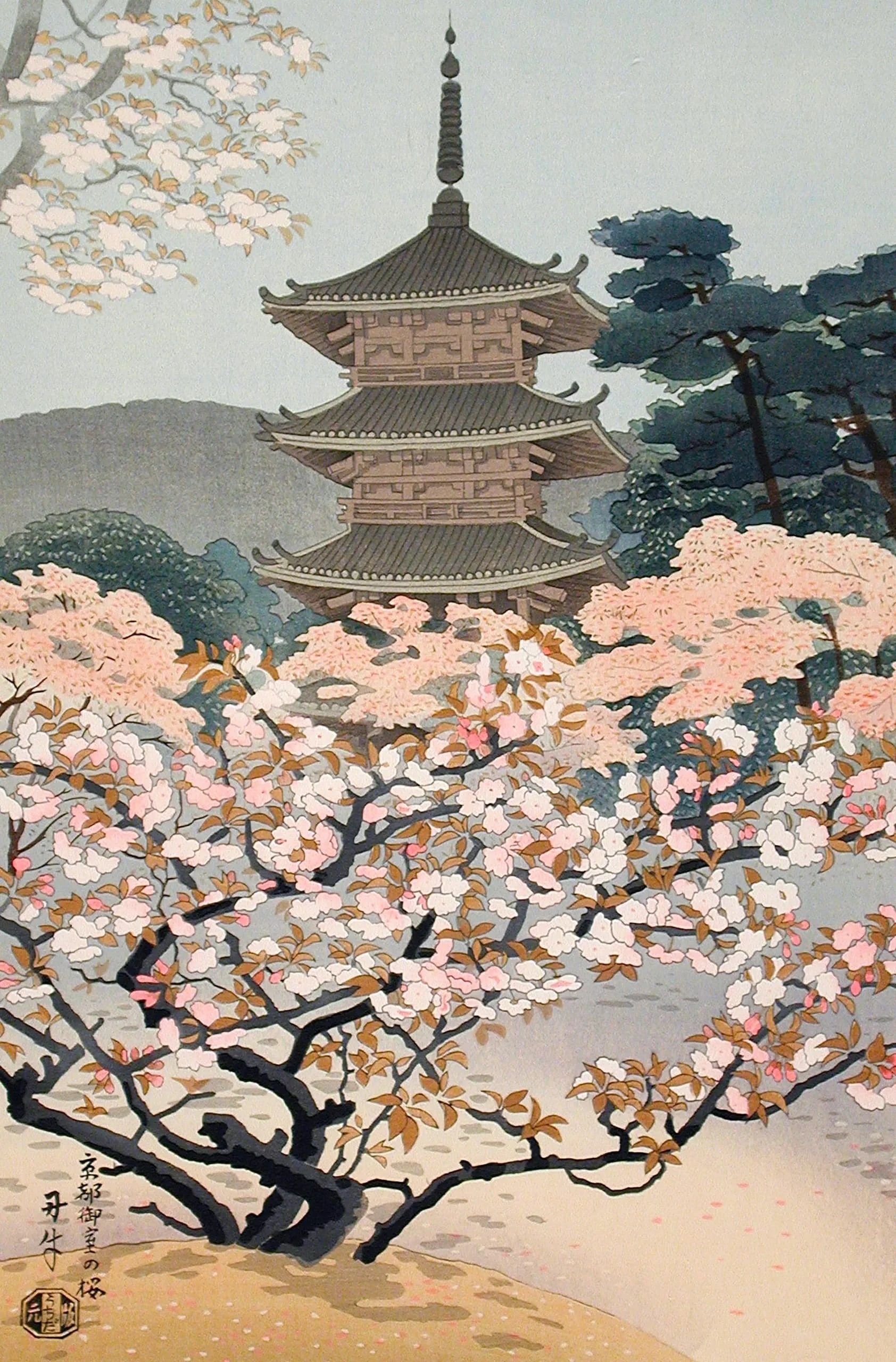 Ninnaji Pagoda of Omuro with Cherry Blossoms