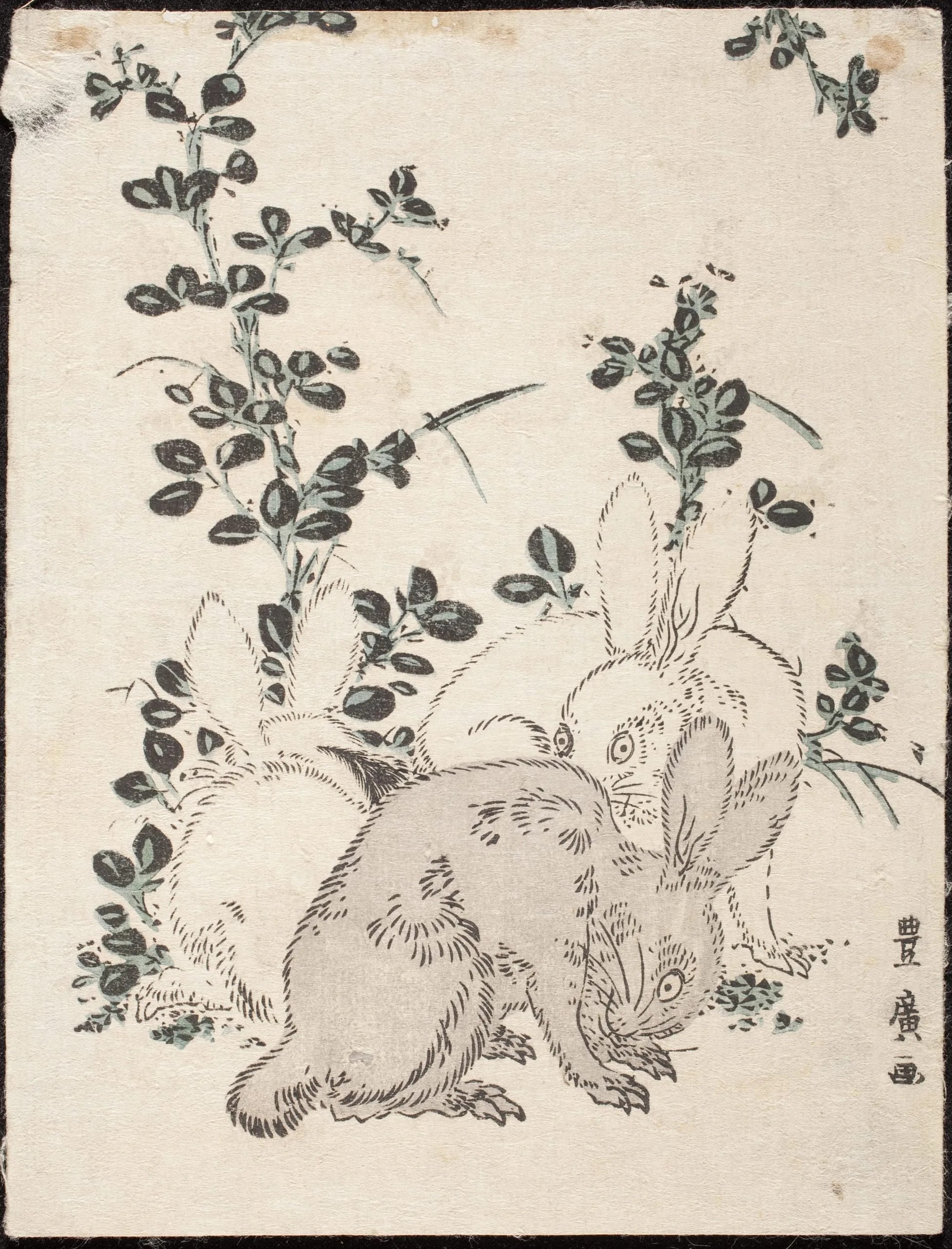 Three Rabbits amidst Bush Clover