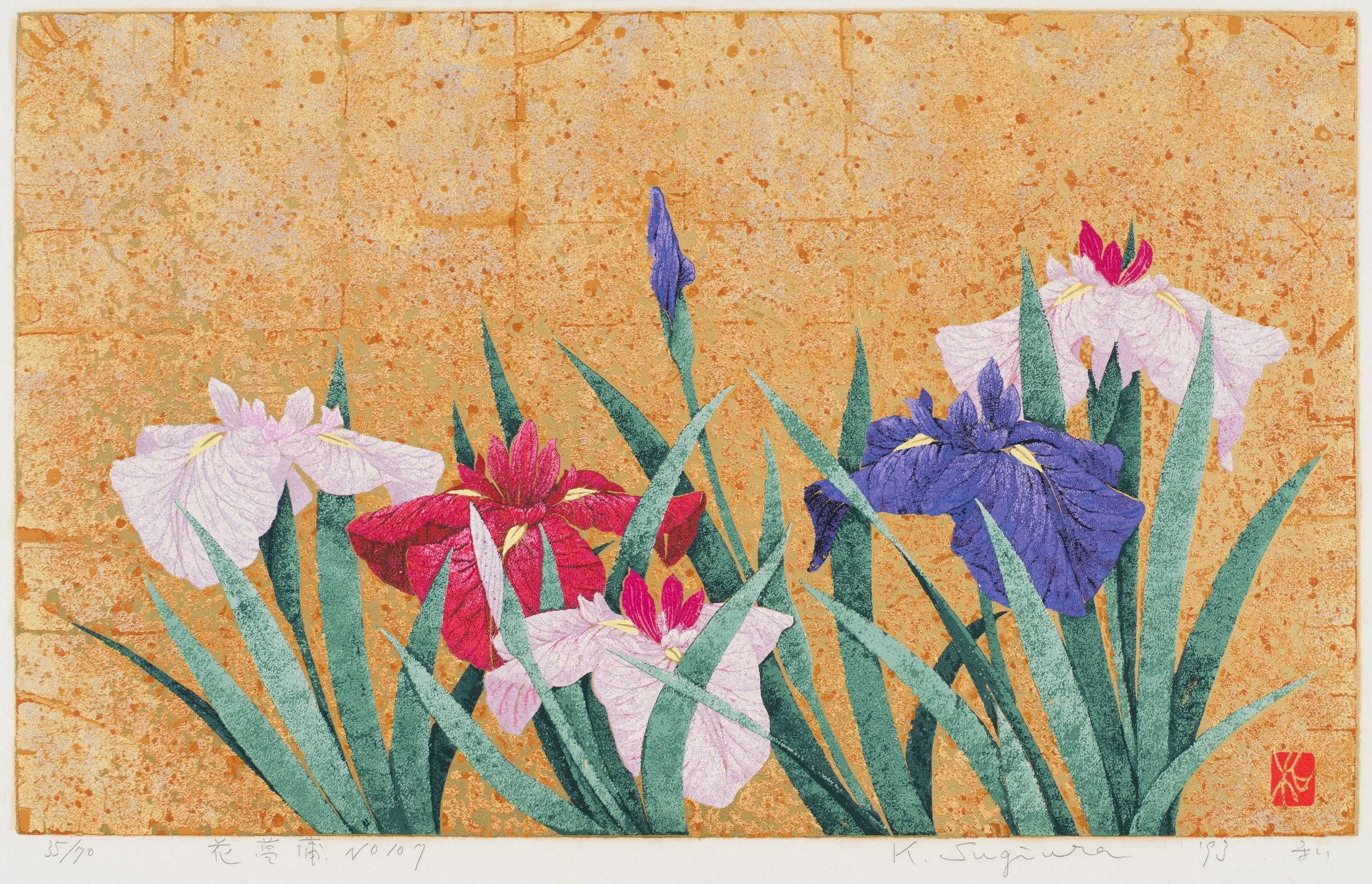 Japanese Iris No. 107