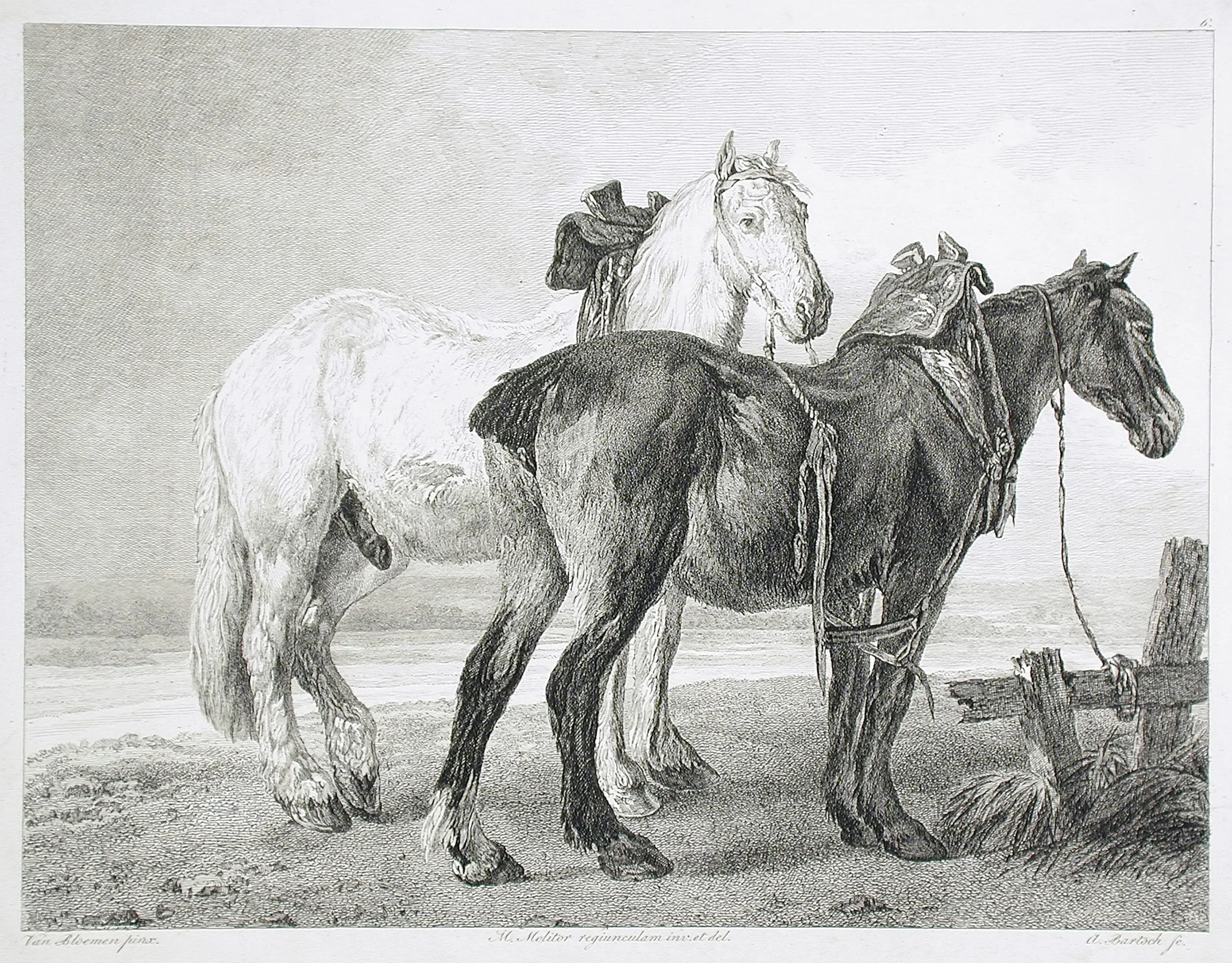 Two Horses