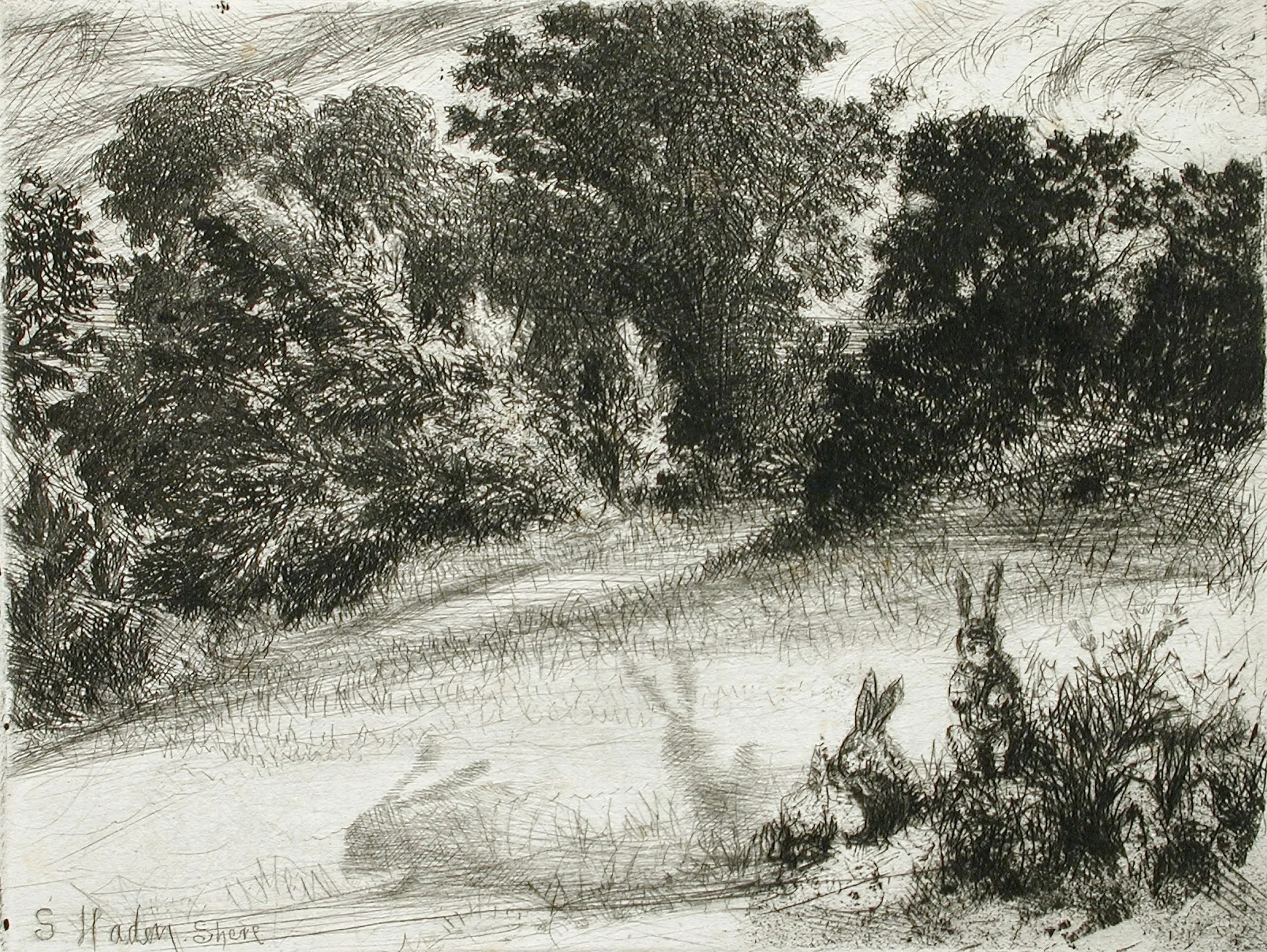 Combe Bottom