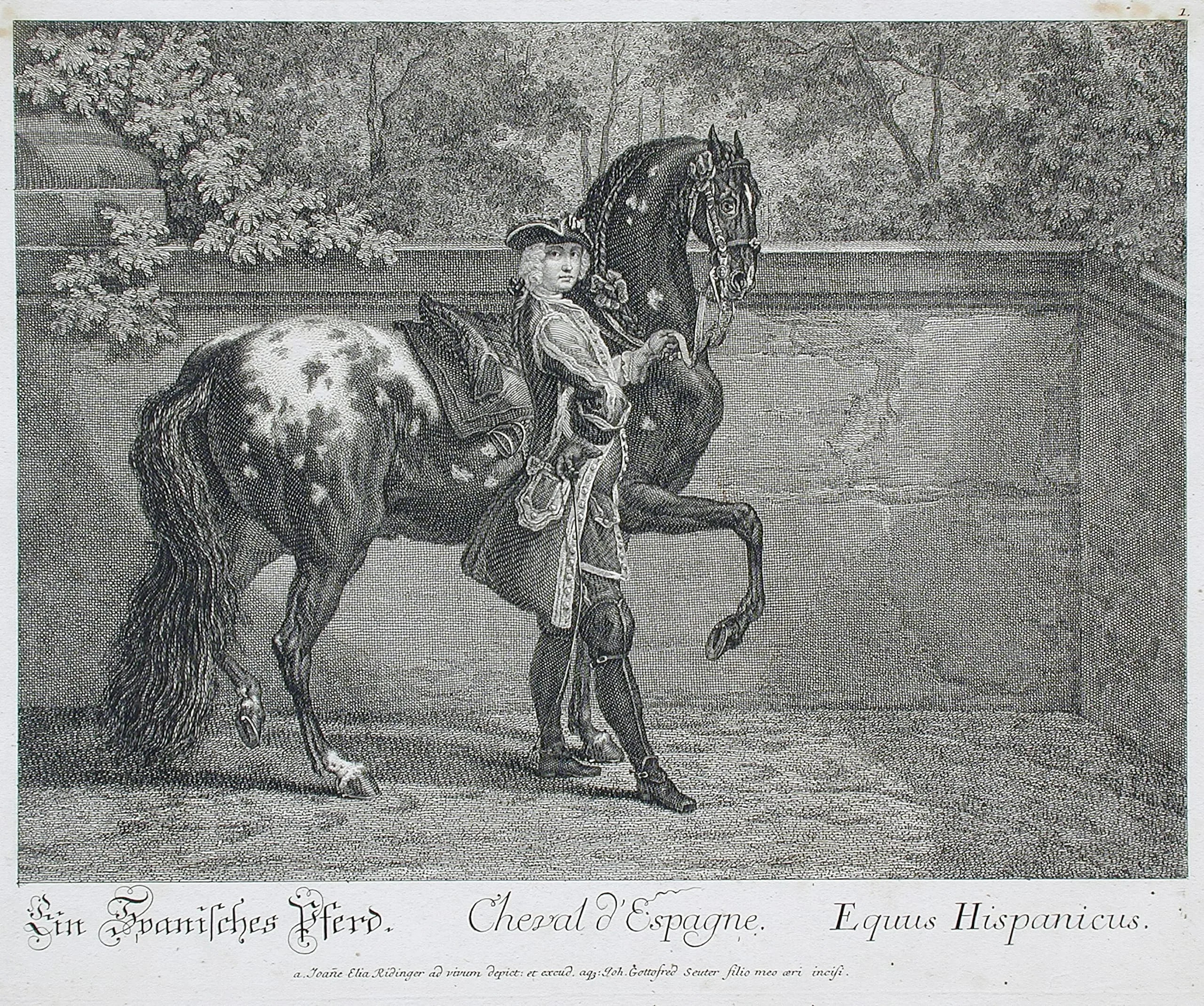 The Spanish Horse