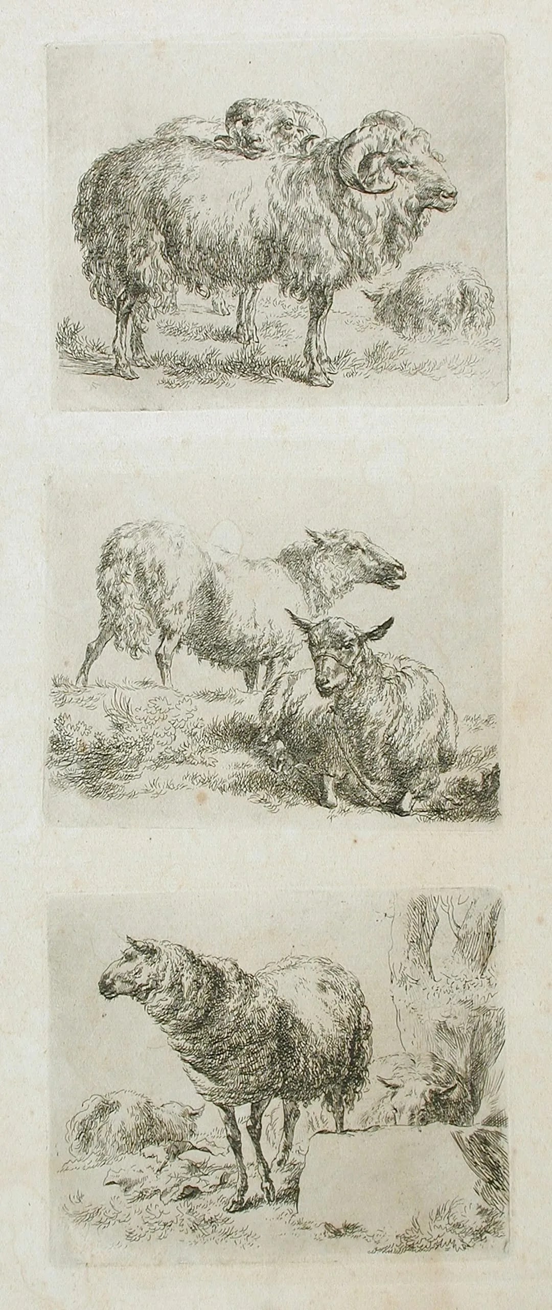Three Etchings from the Set of Sheep