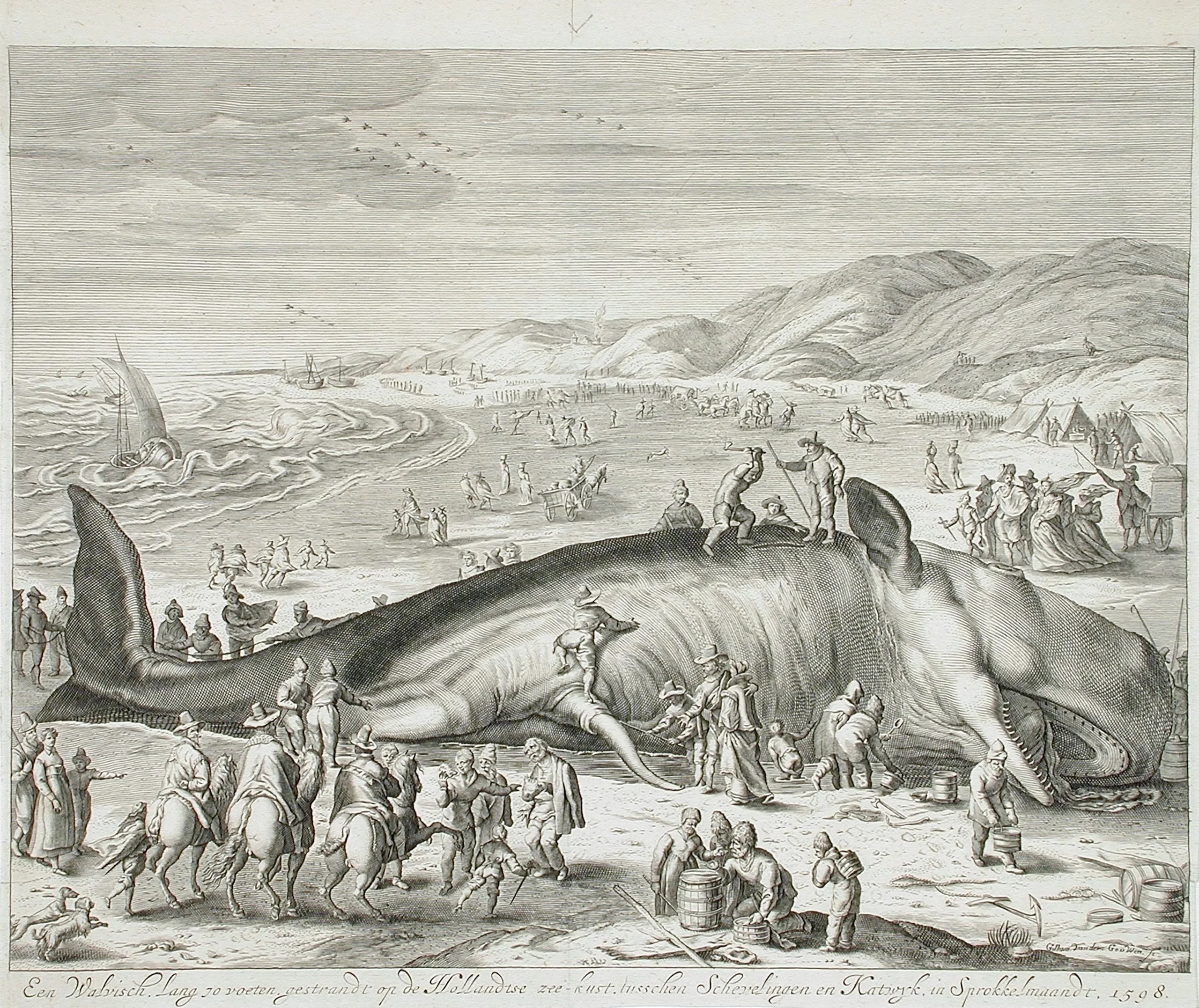 Stranded Whale between Scheveningen and Katwyk