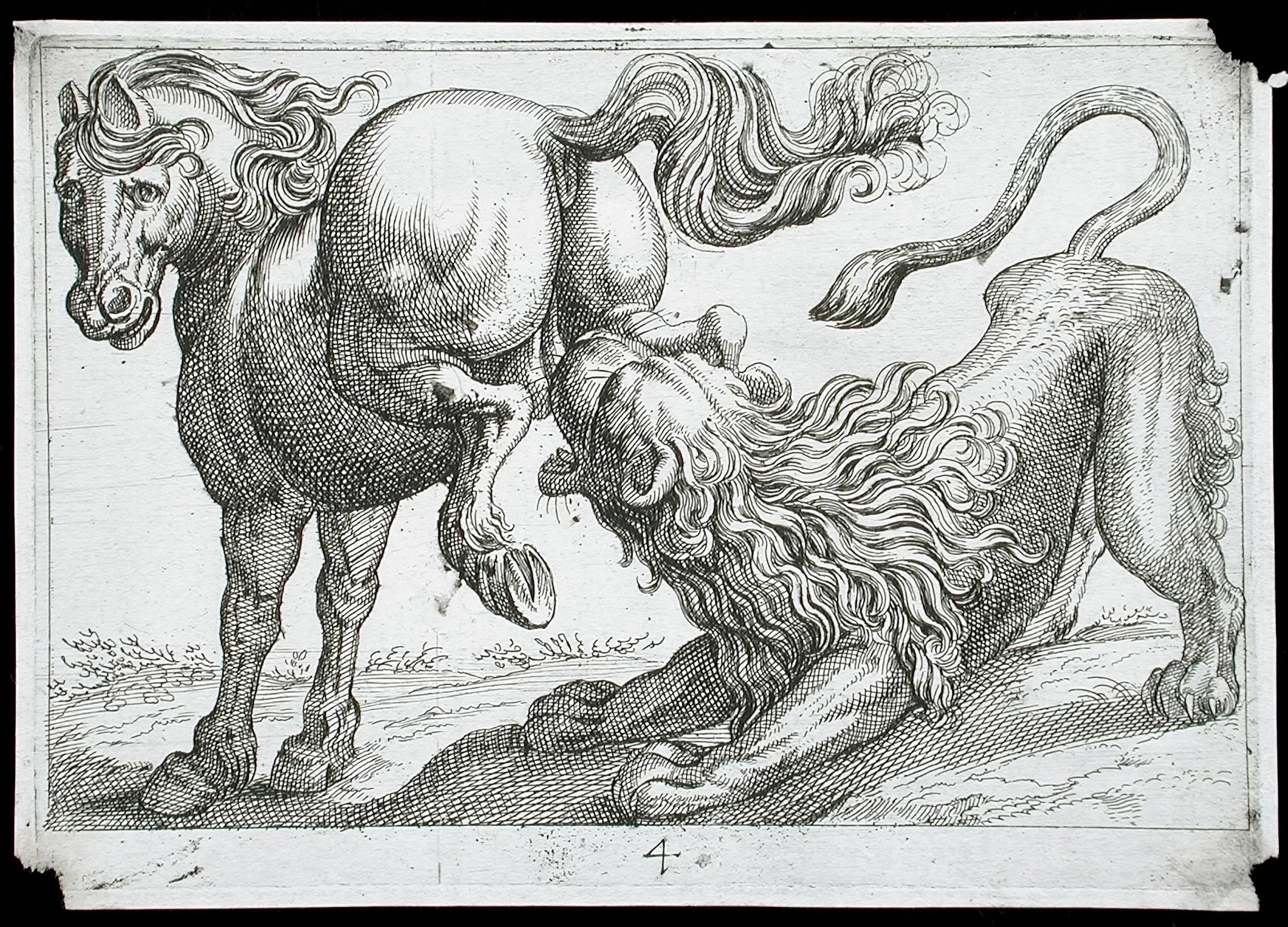 A Horse Kicking a Lion