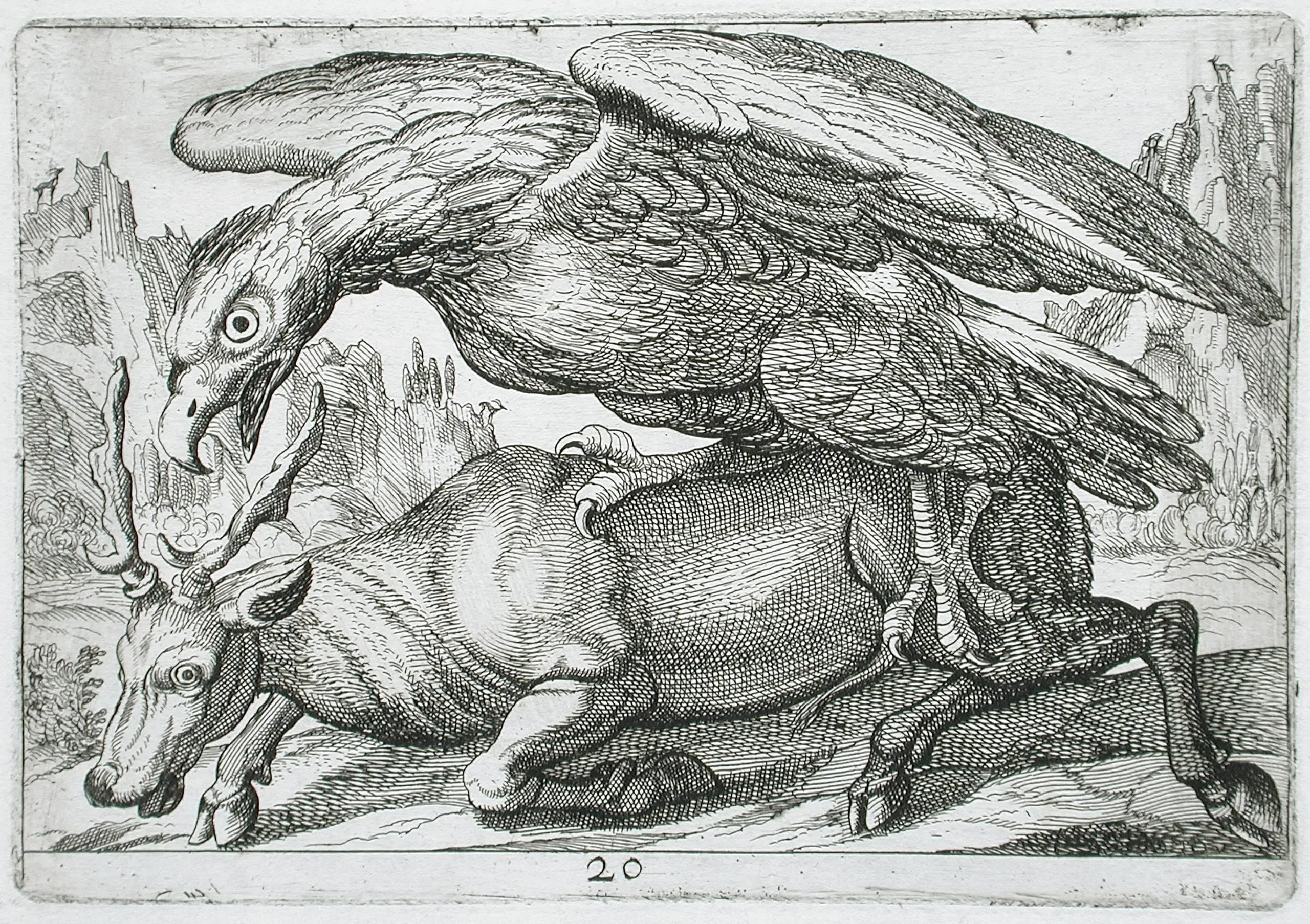 A Large Bird Attacking a Stag