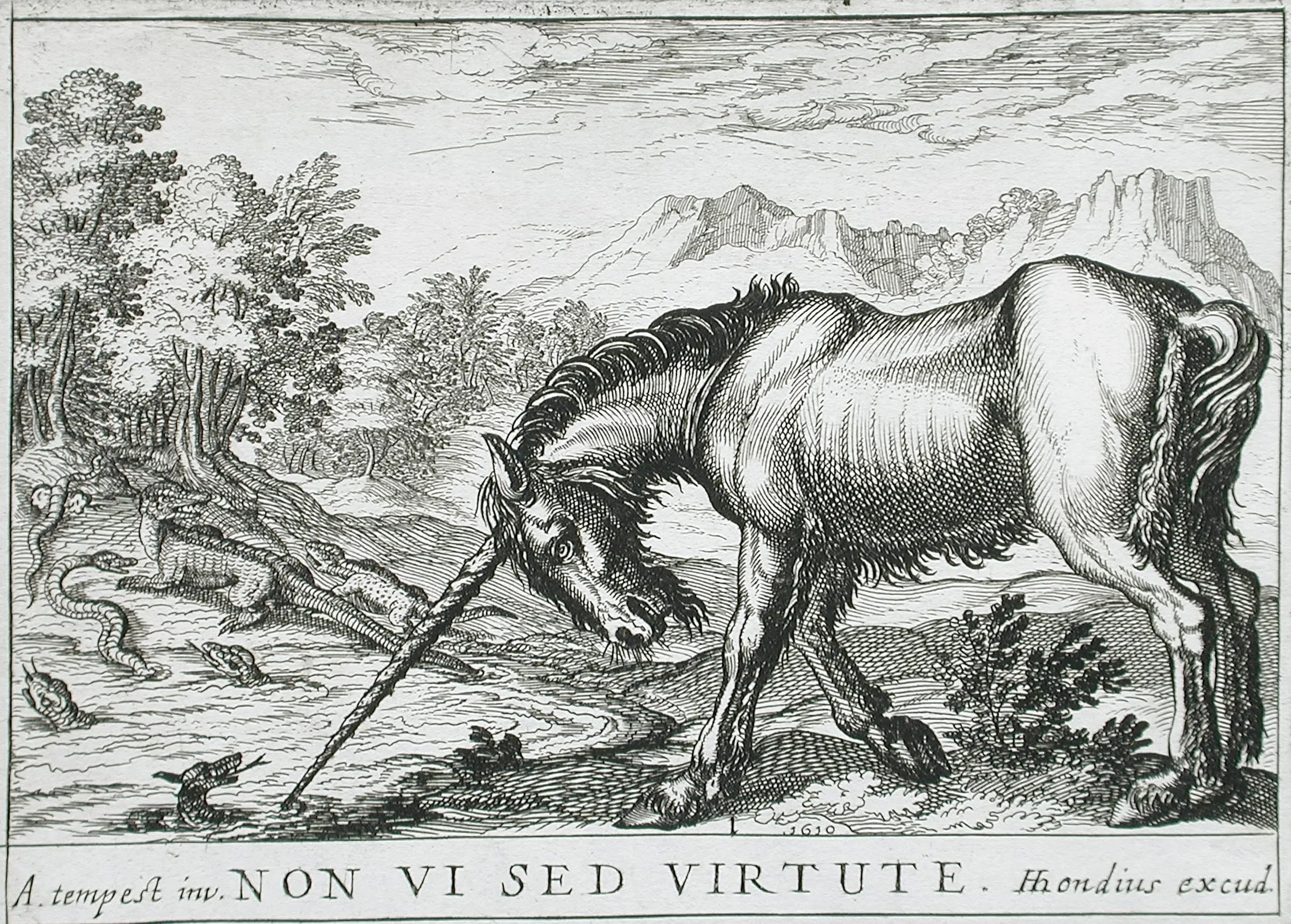 Battling Animals