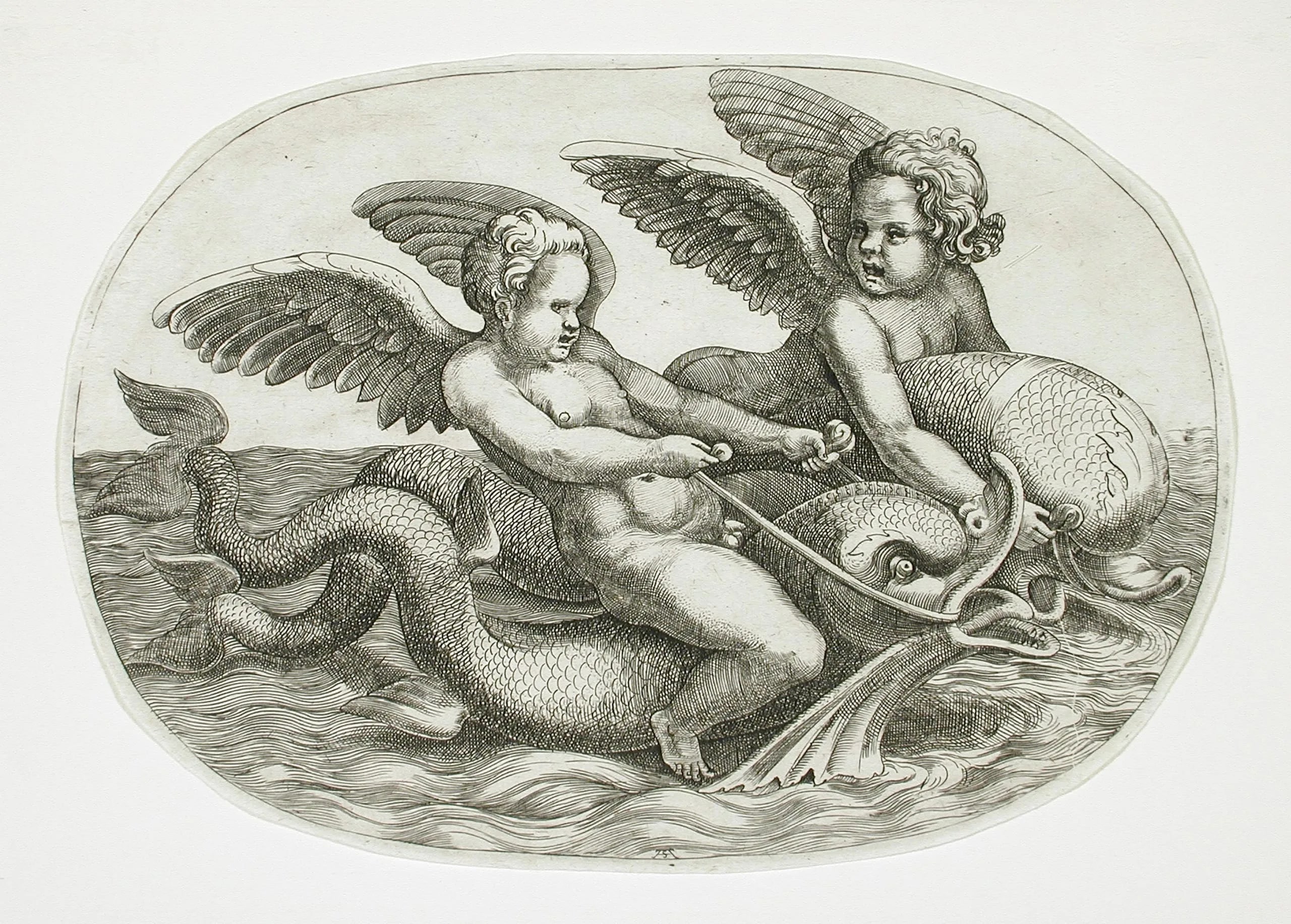 Two Cupids Riding a Dolphin