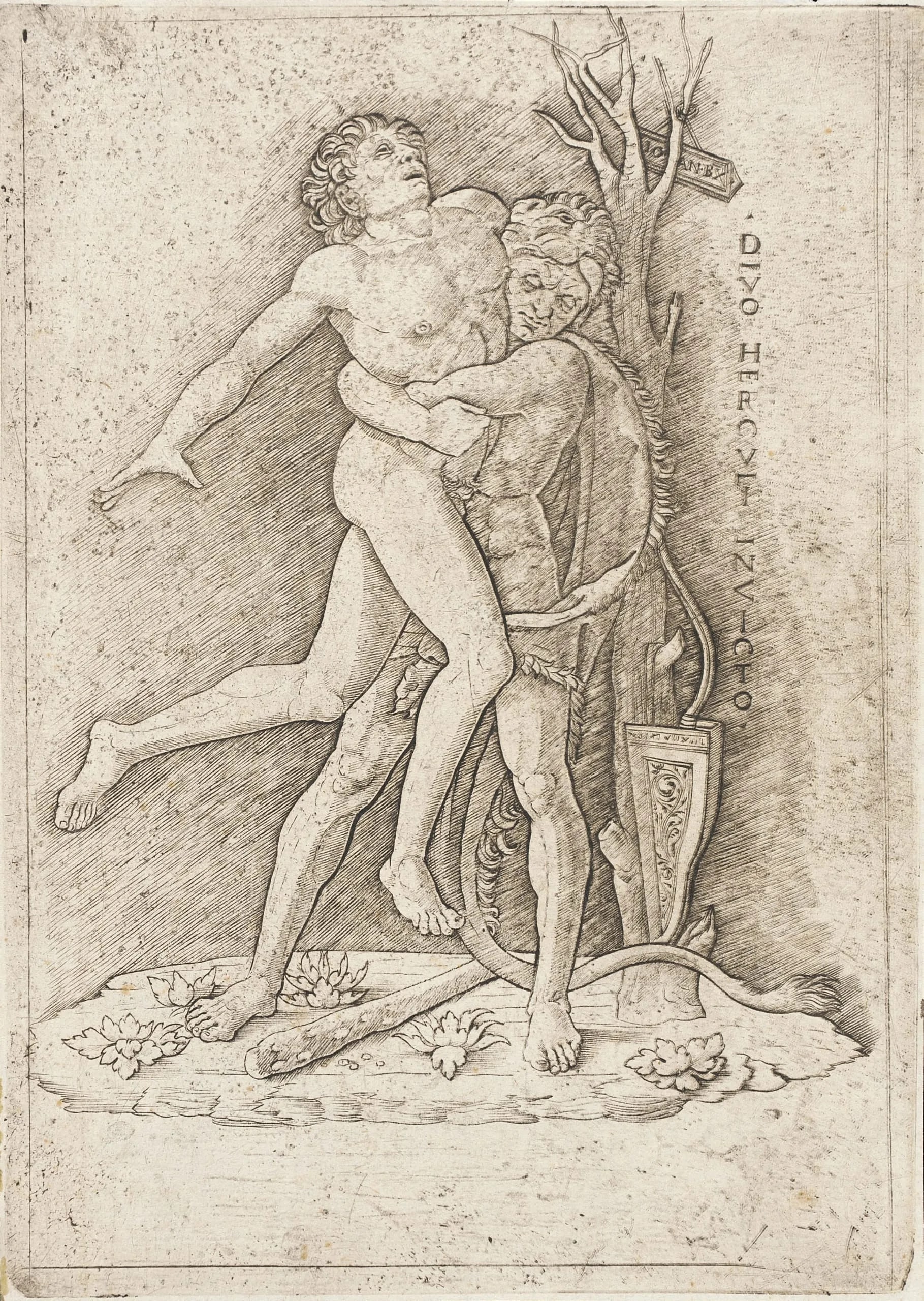 Hercules and Antaeus