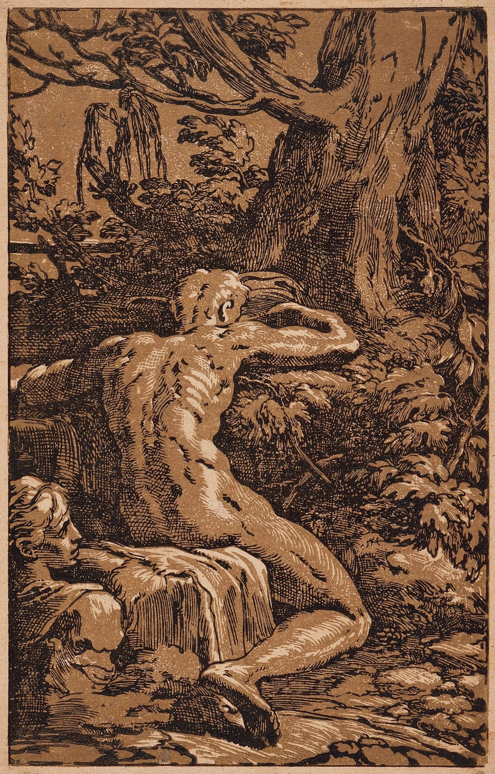 Man Seen from Behind