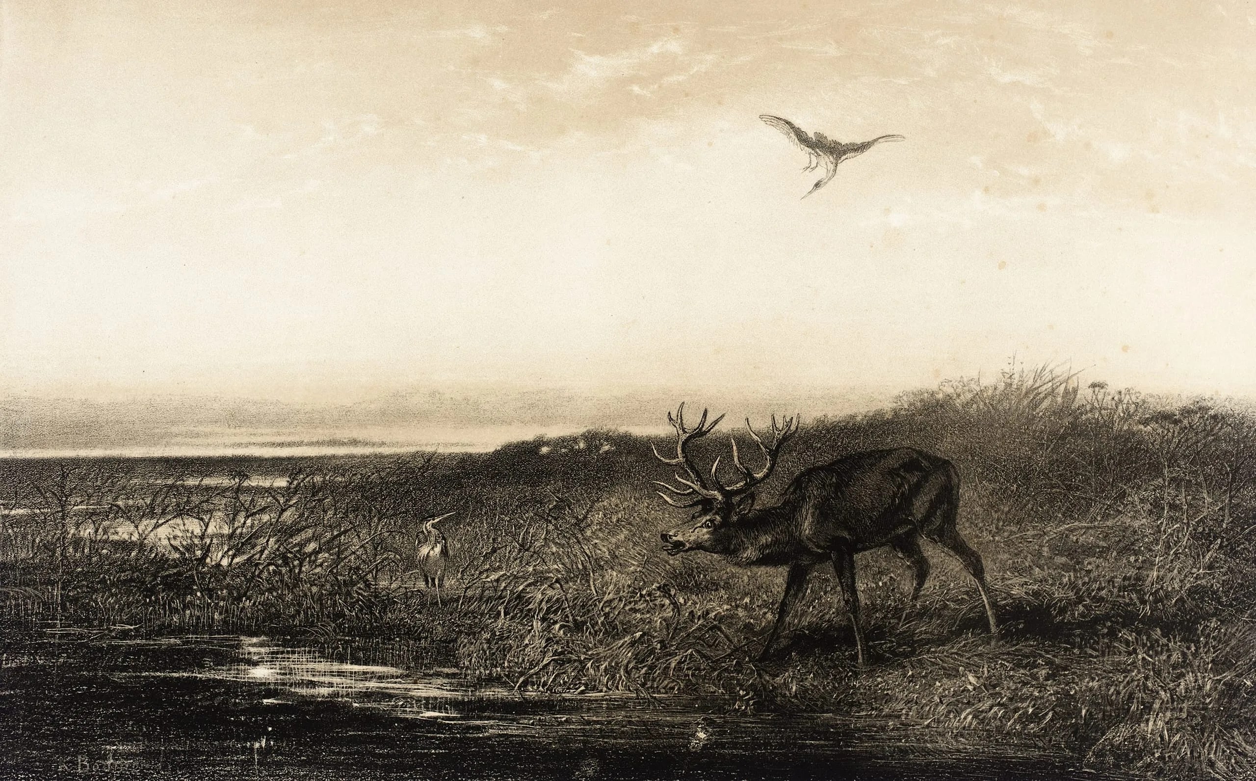 Le Soir: Cerf et Herons (Evening: Stag and Herons)