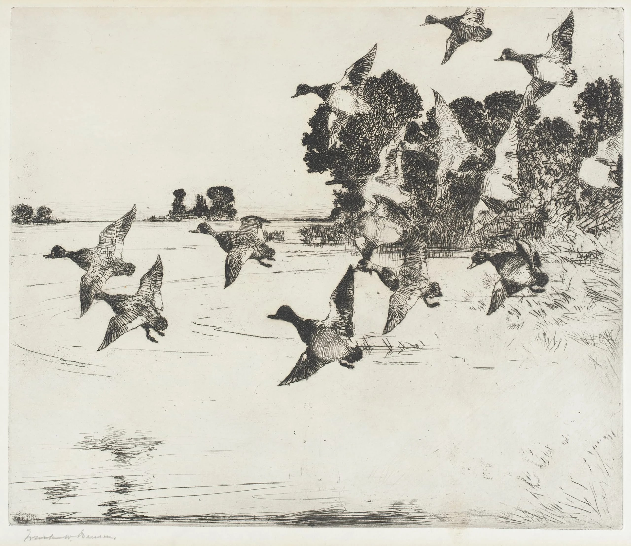 The Passing Flock