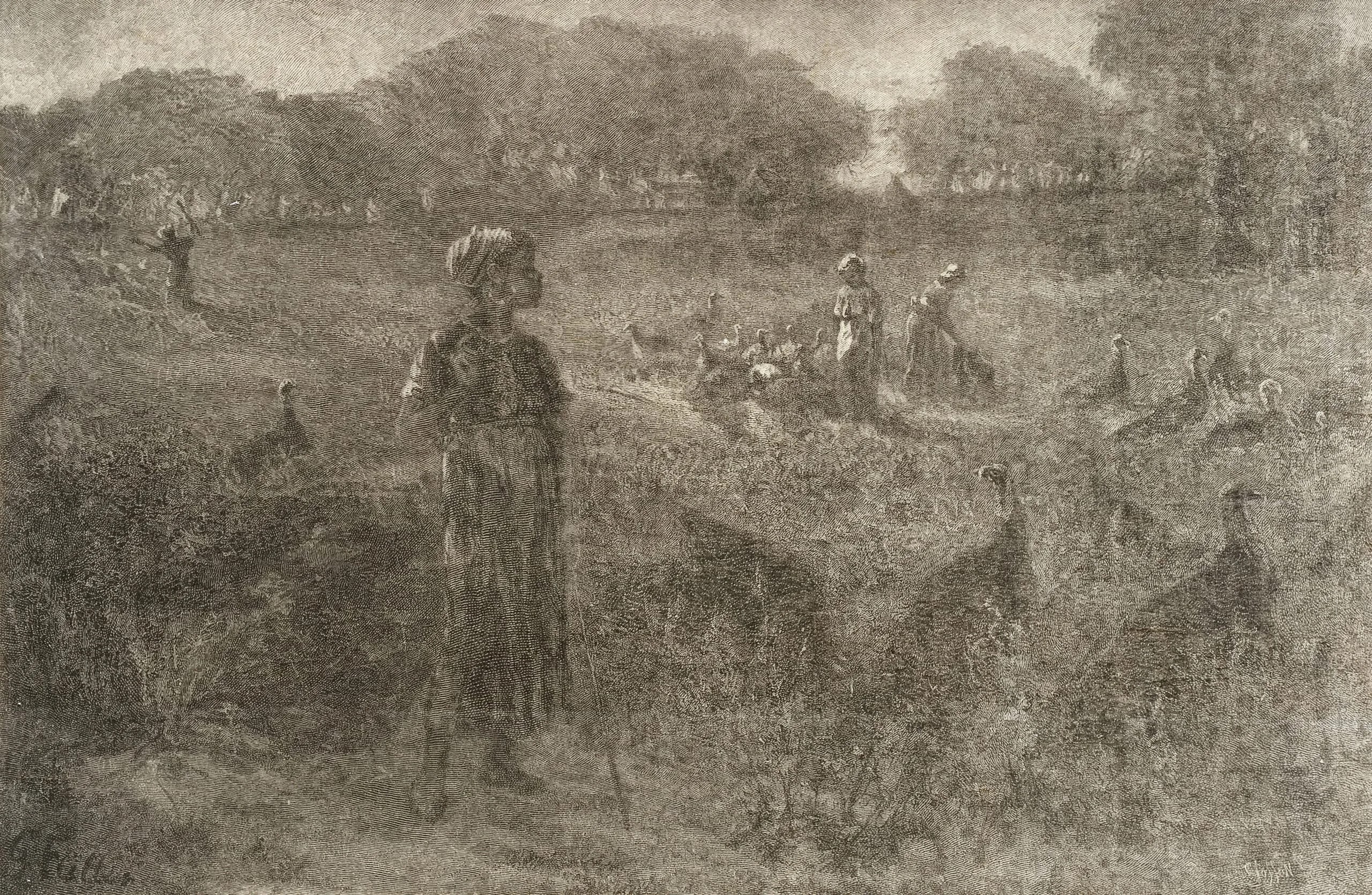 The Turkey Pasture